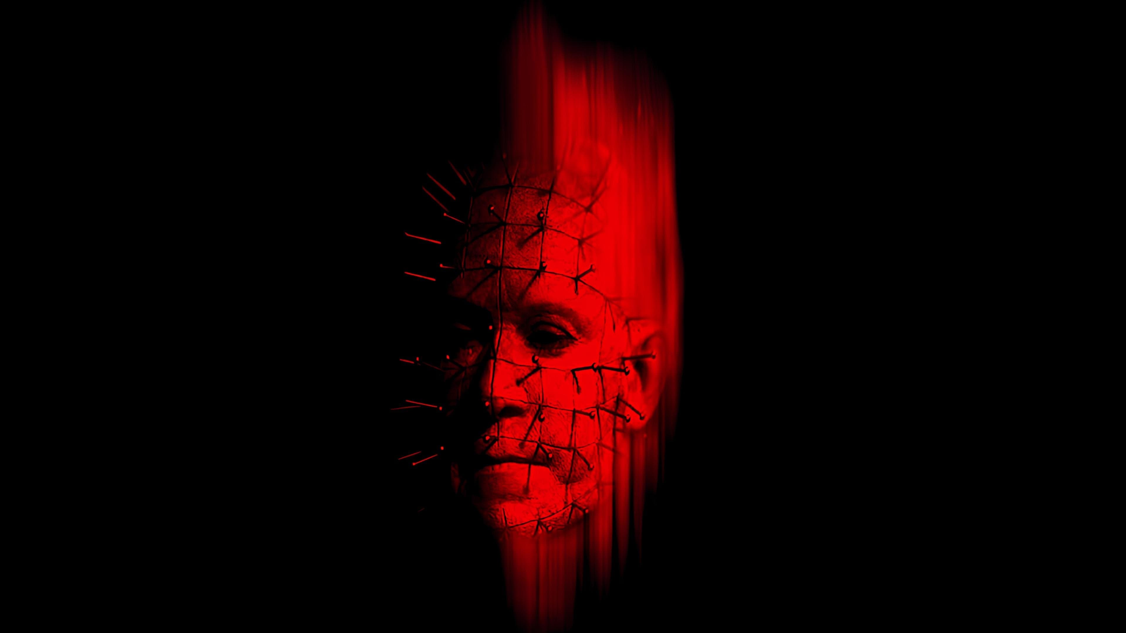Hellraiser: Hellseeker cover