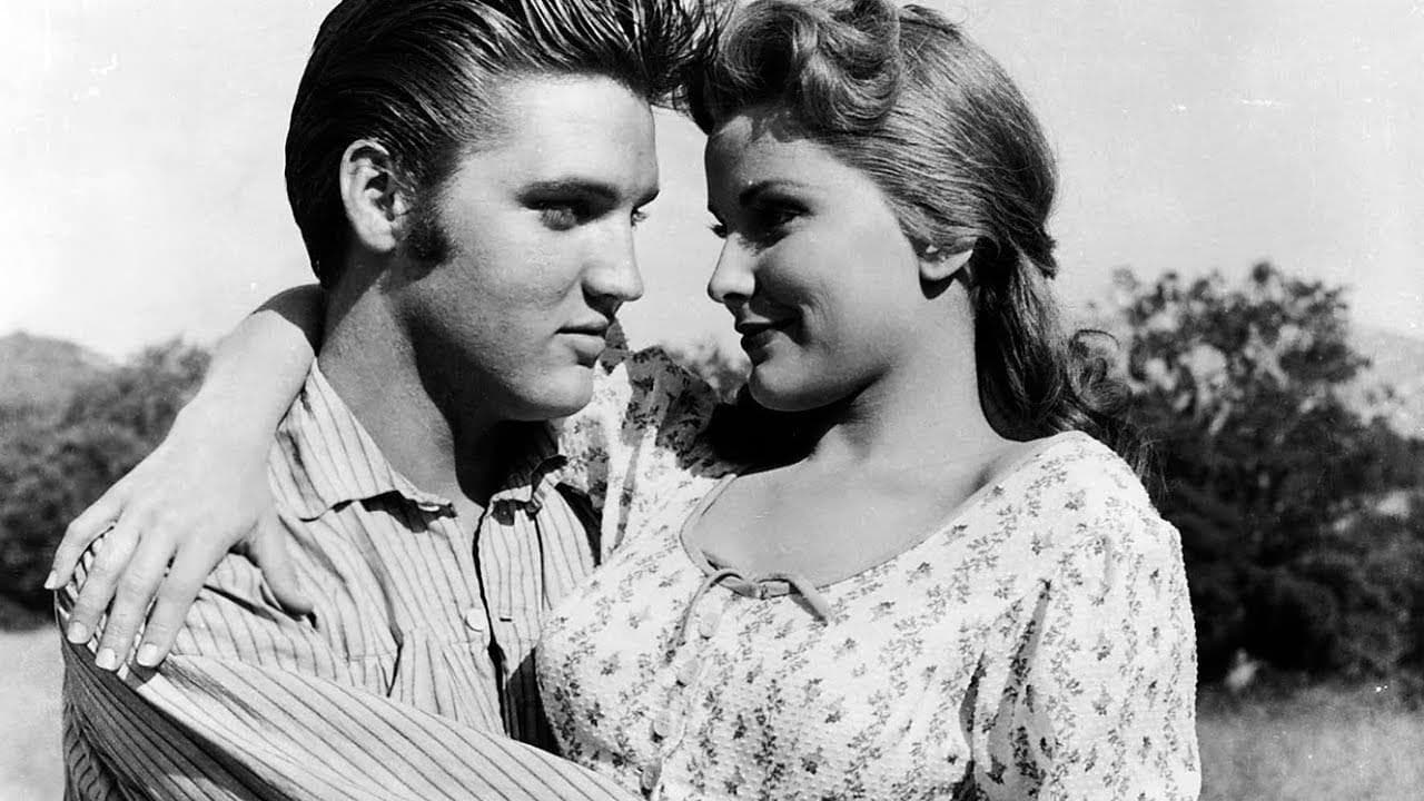 Love Me Tender cover