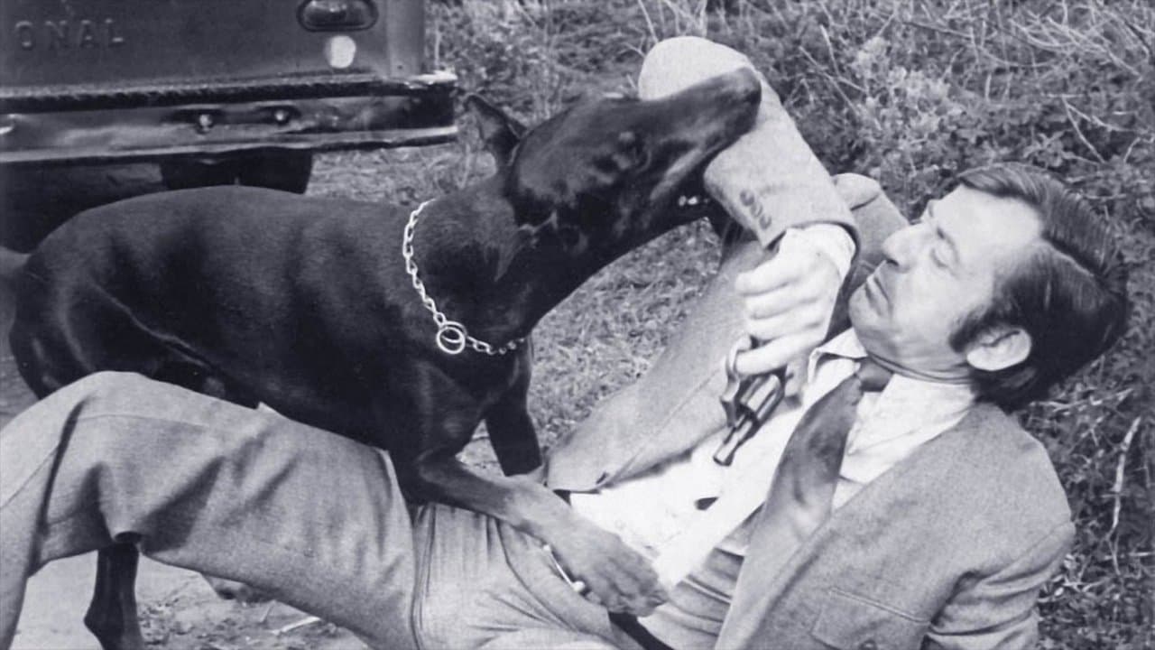 The Daring Dobermans cover