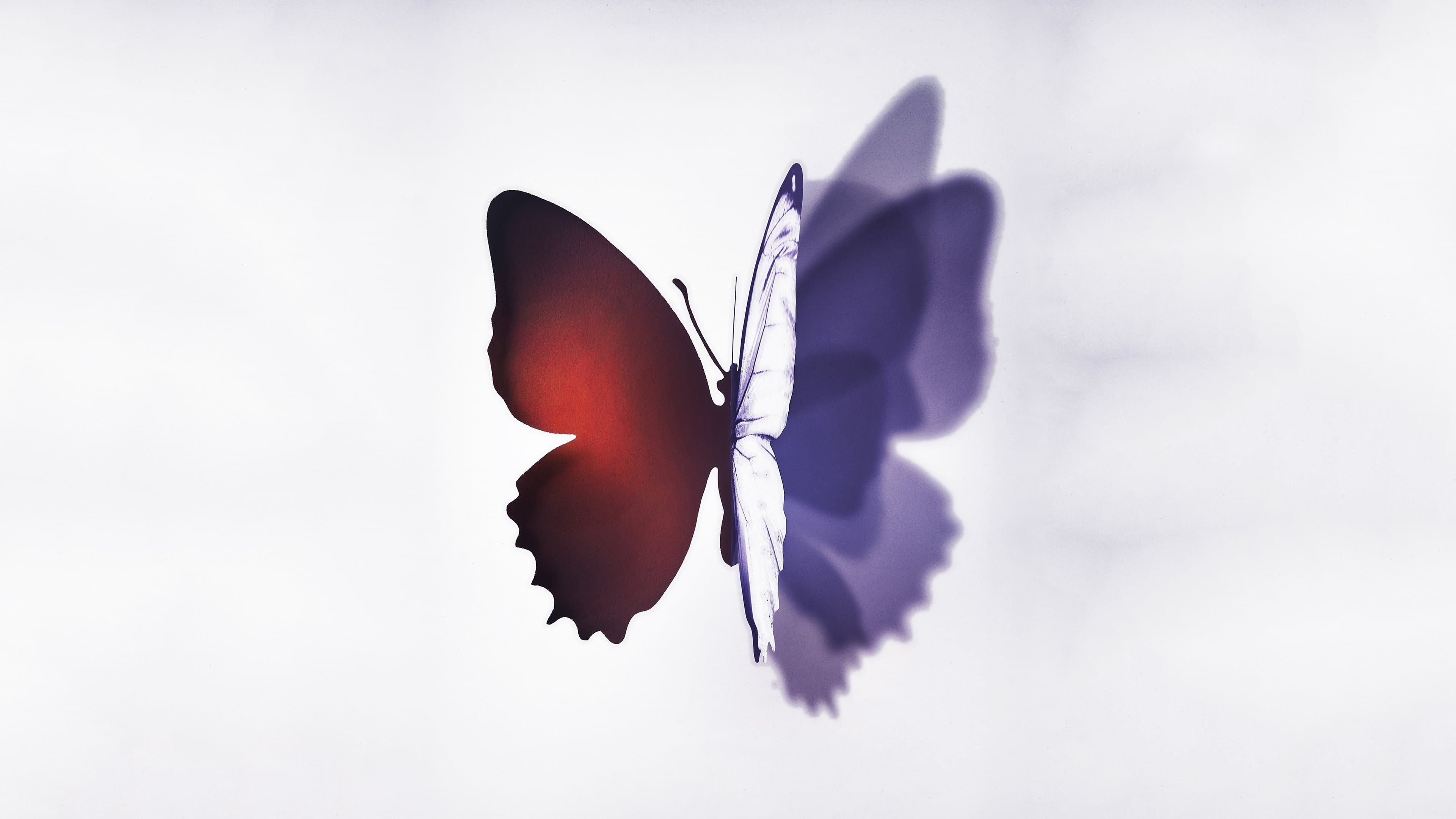 Complete Unknown cover