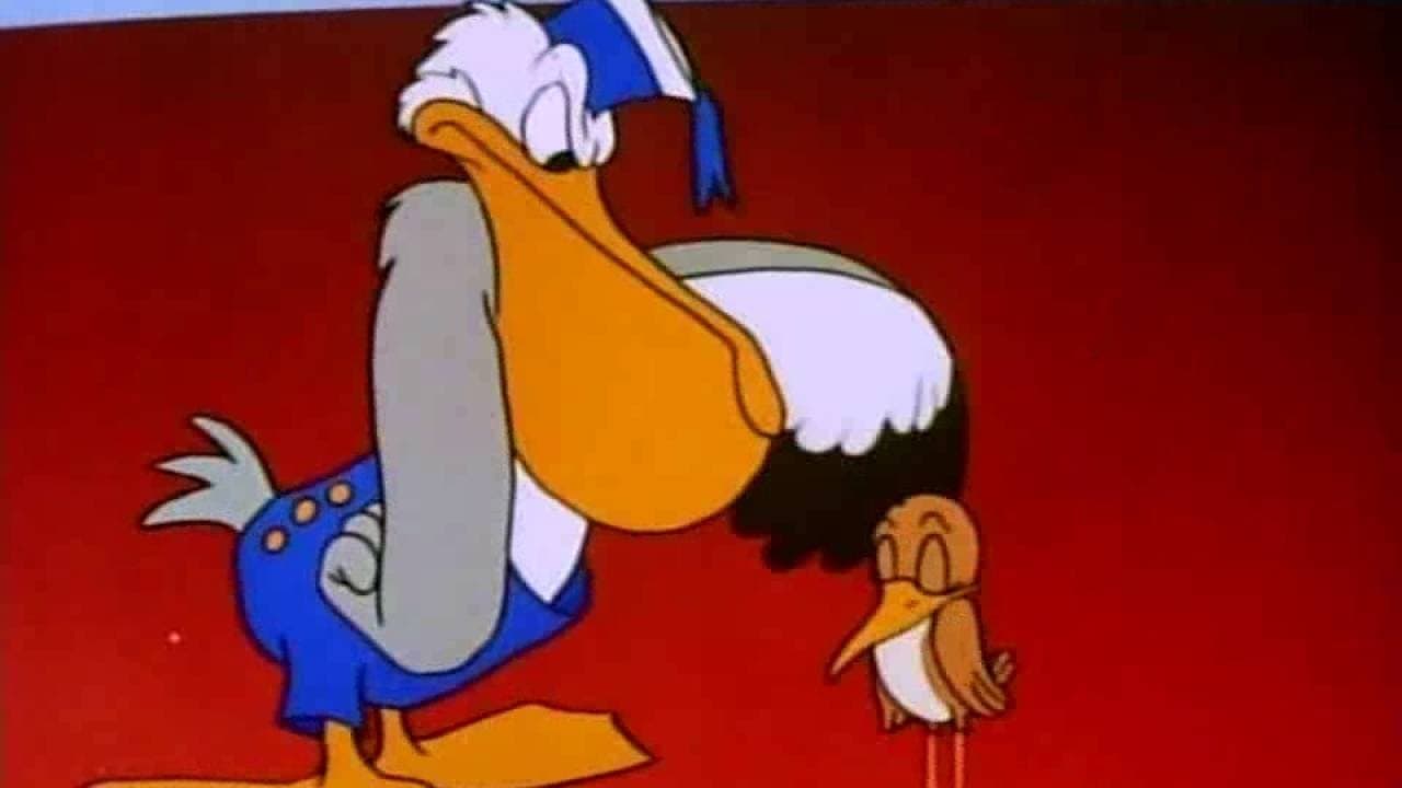 The Pelican and the Snipe cover