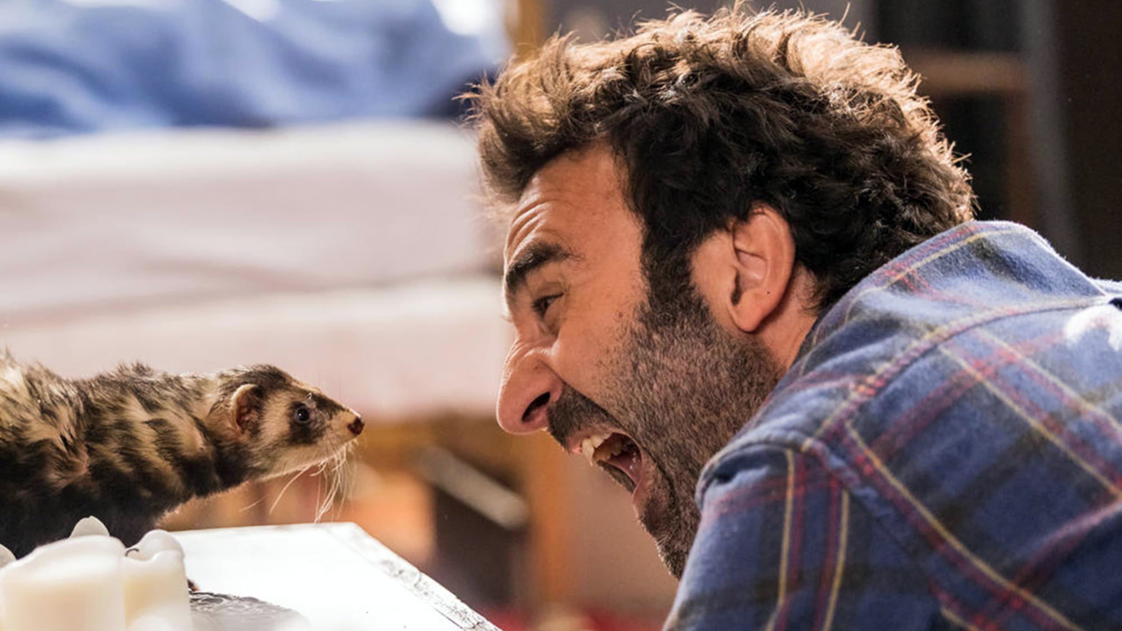 Le furet cover
