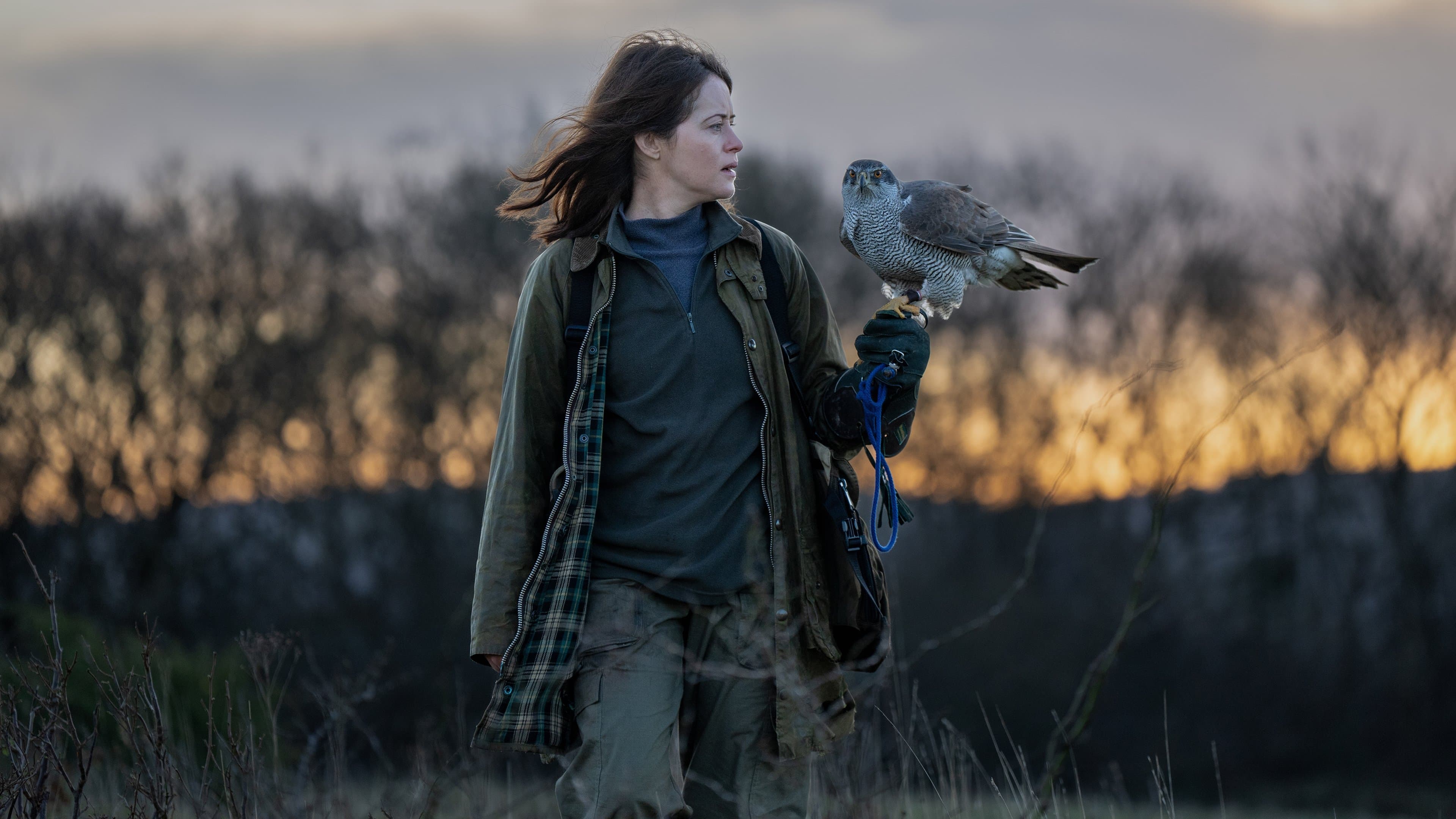 H Is for Hawk cover