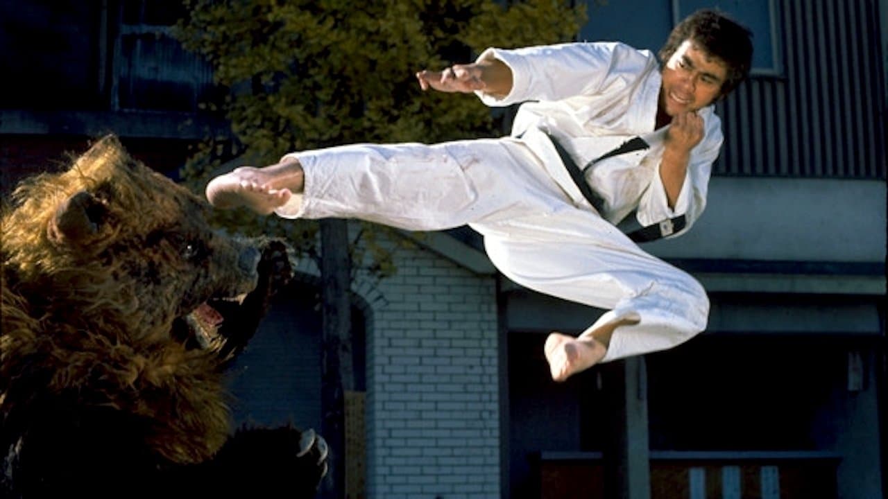 Karate Bear Fighter cover