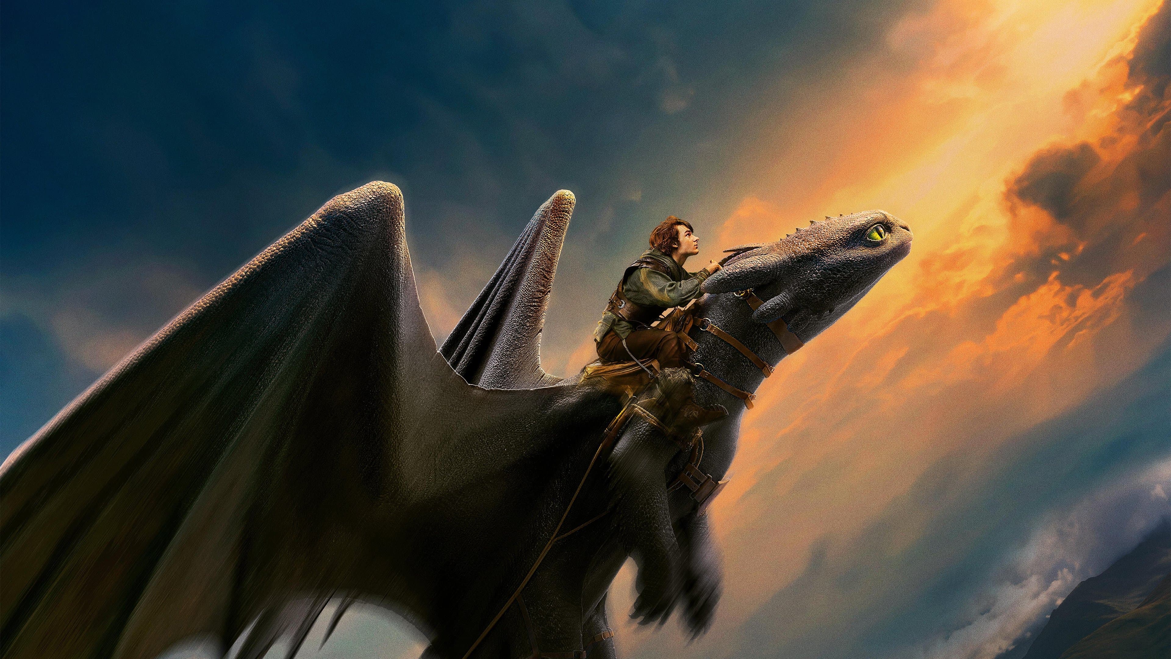 How to Train Your Dragon cover