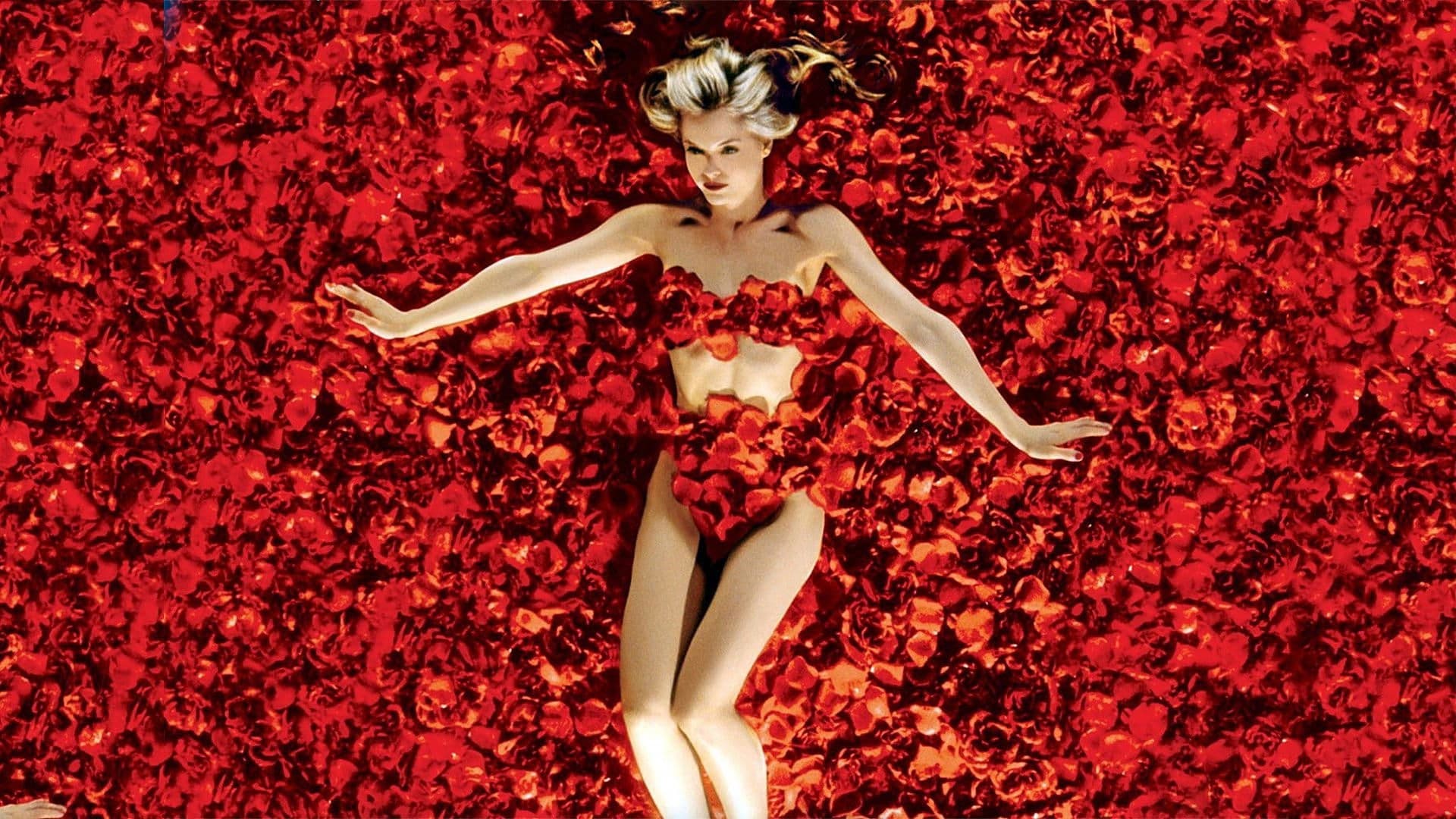 American Beauty cover