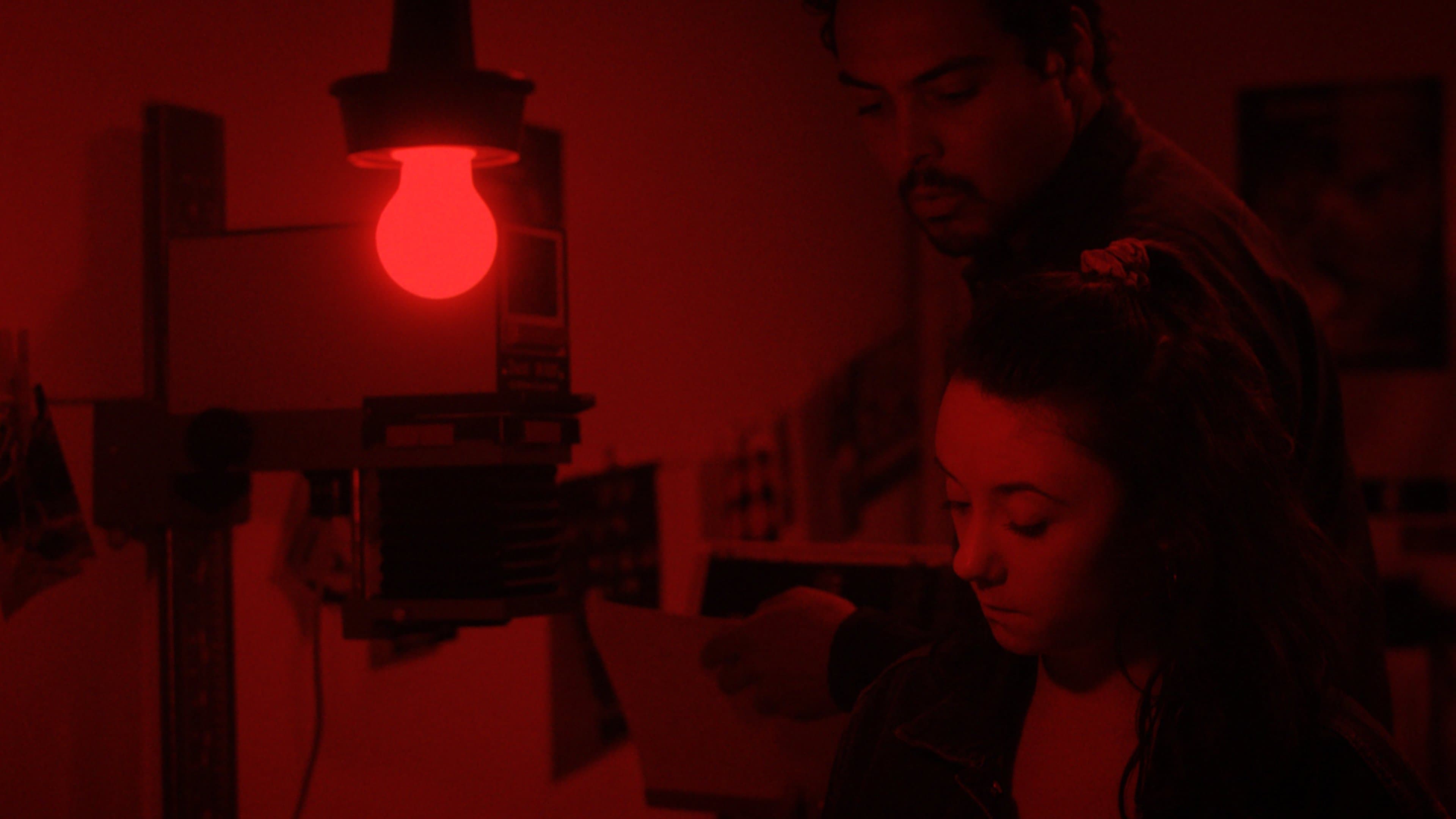 Le jour où un zèbre devint tigre cover