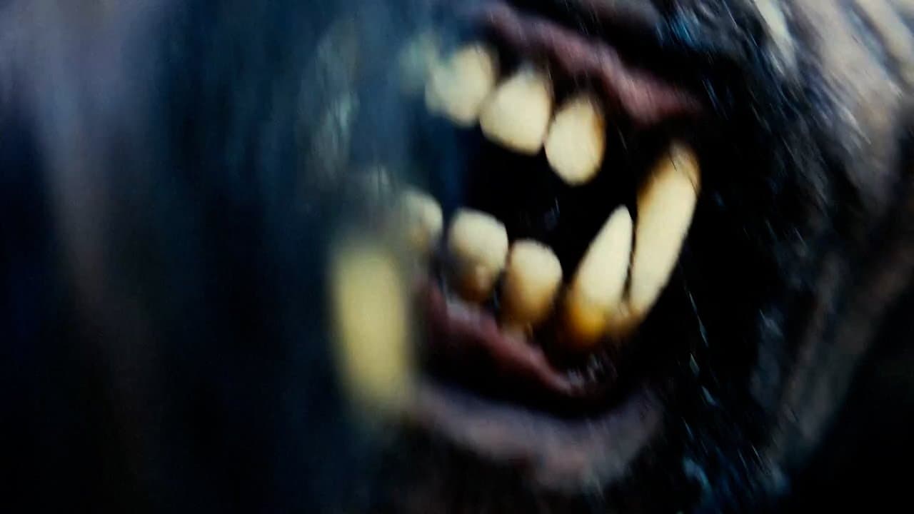 Tahoe Joe 2: The Sierra Nevada Bigfoot Conspiracy cover
