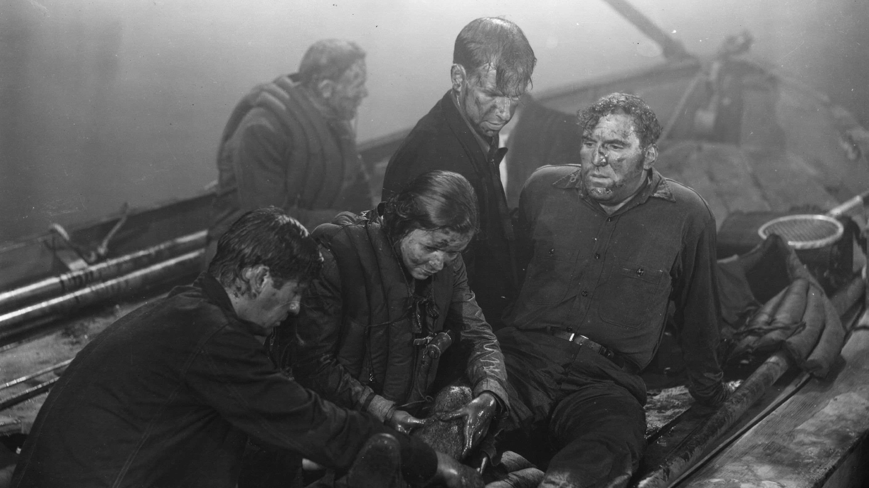 Lifeboat cover