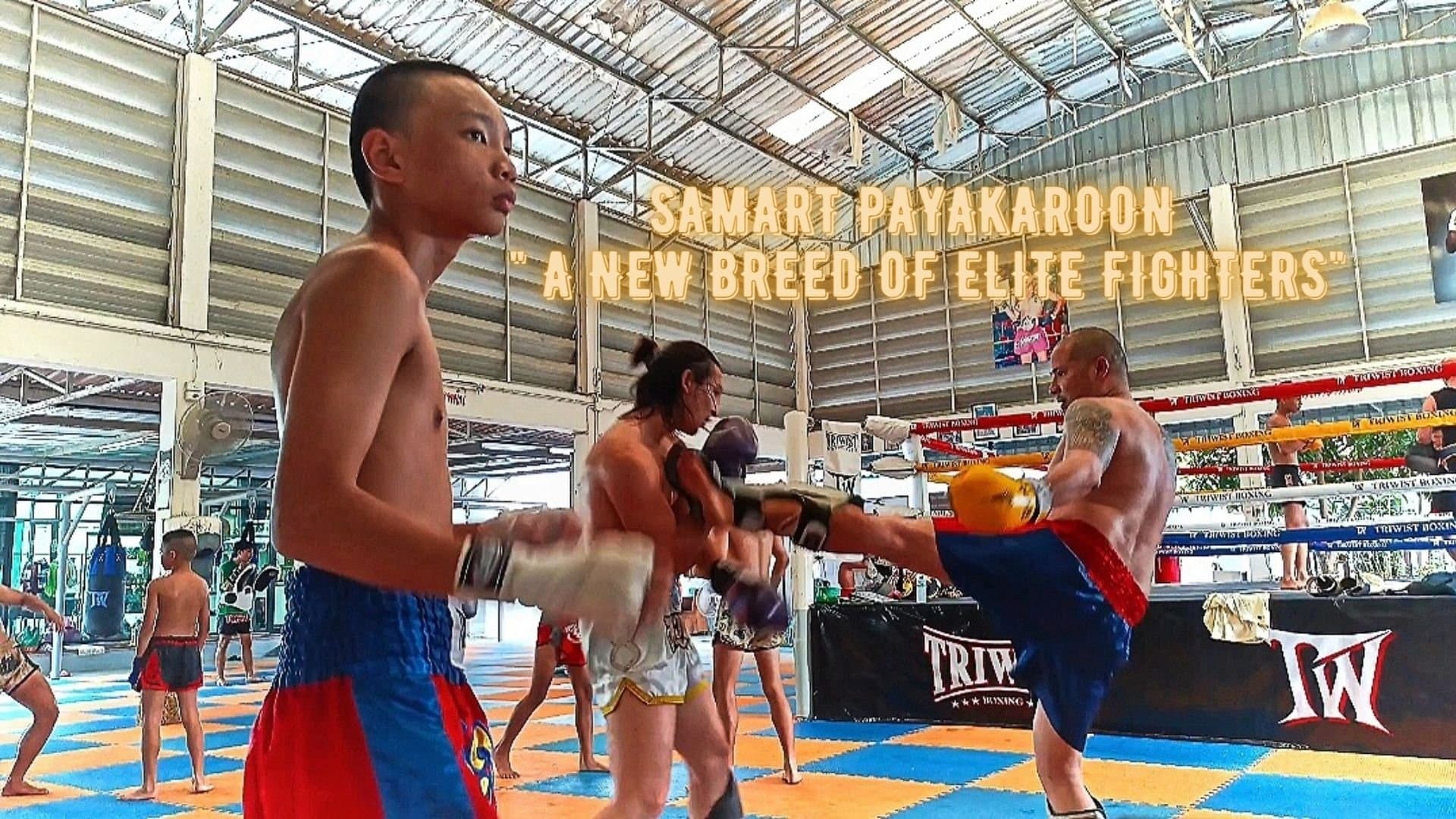 Samart Payakaroon cover