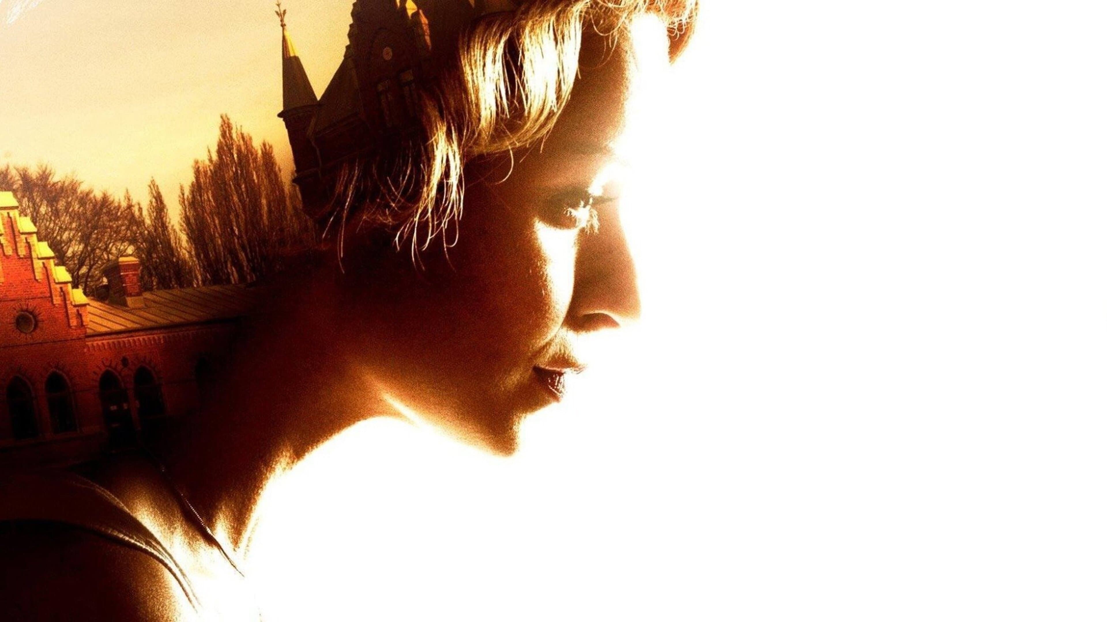 The Fjällbacka Murders: In the Eye of the Beholder cover