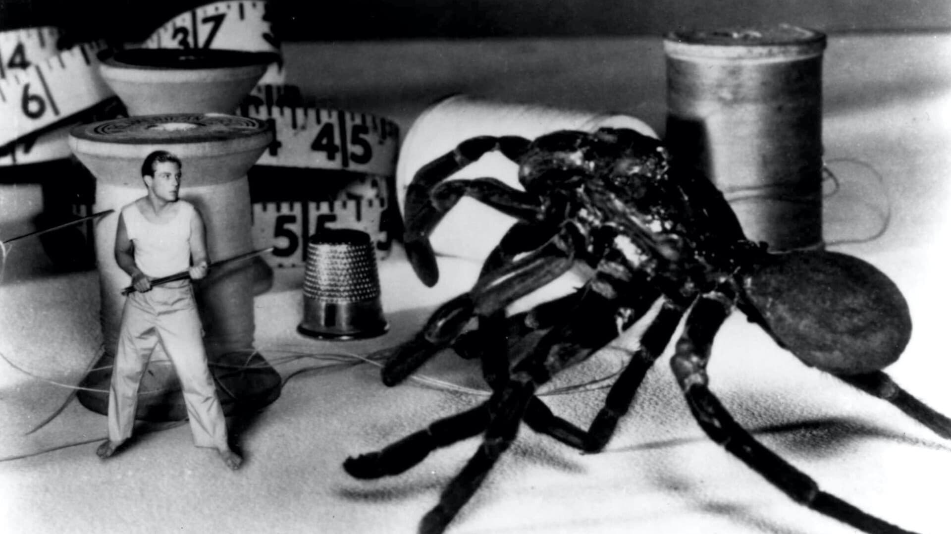 The Incredible Shrinking Man cover