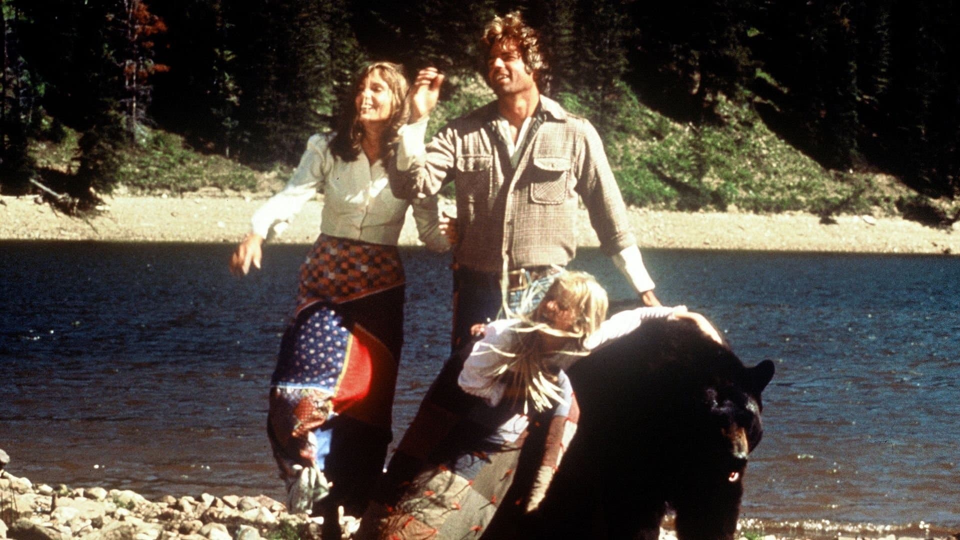The Adventures of the Wilderness Family cover