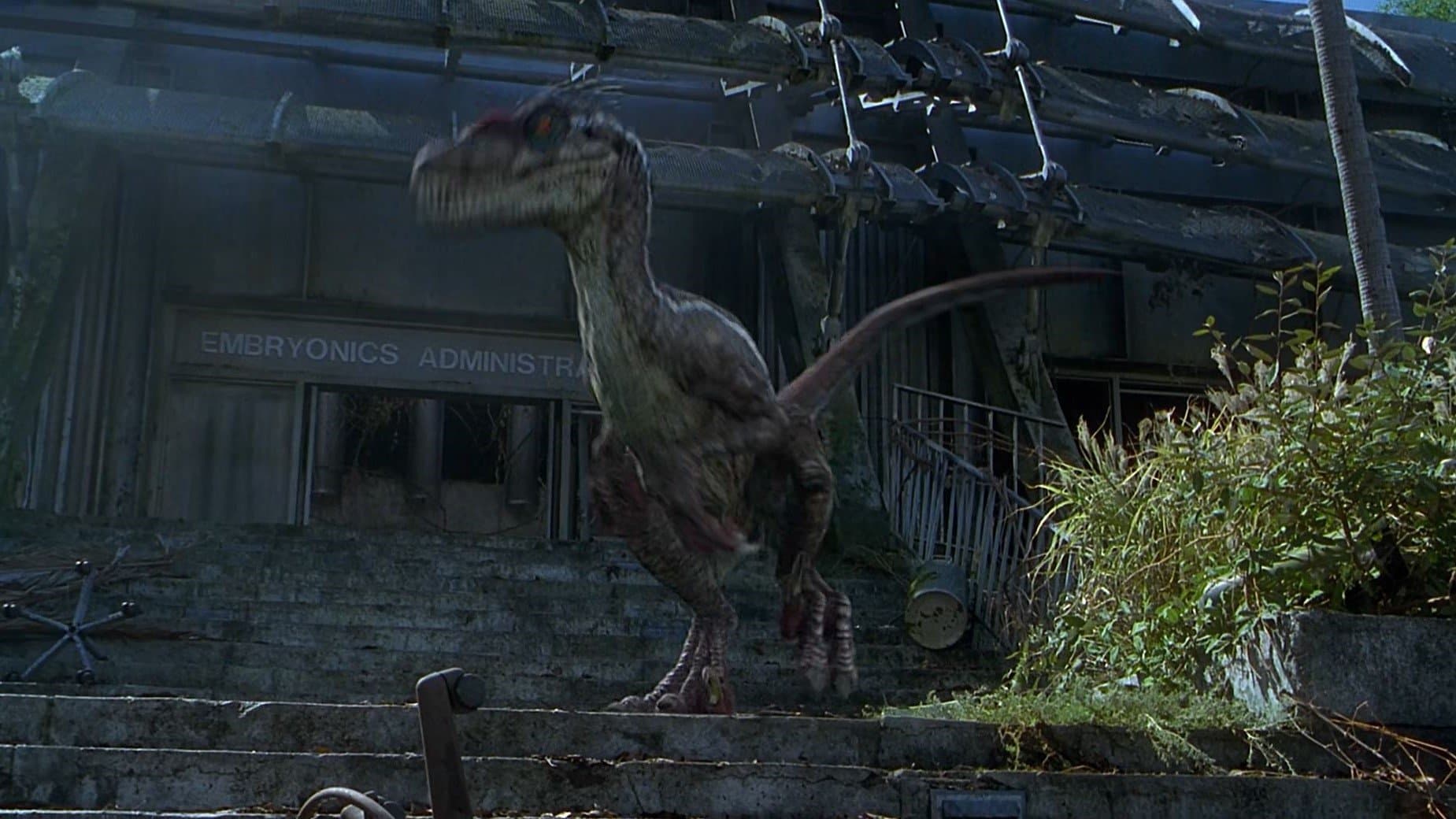 Beyond Jurassic Park cover