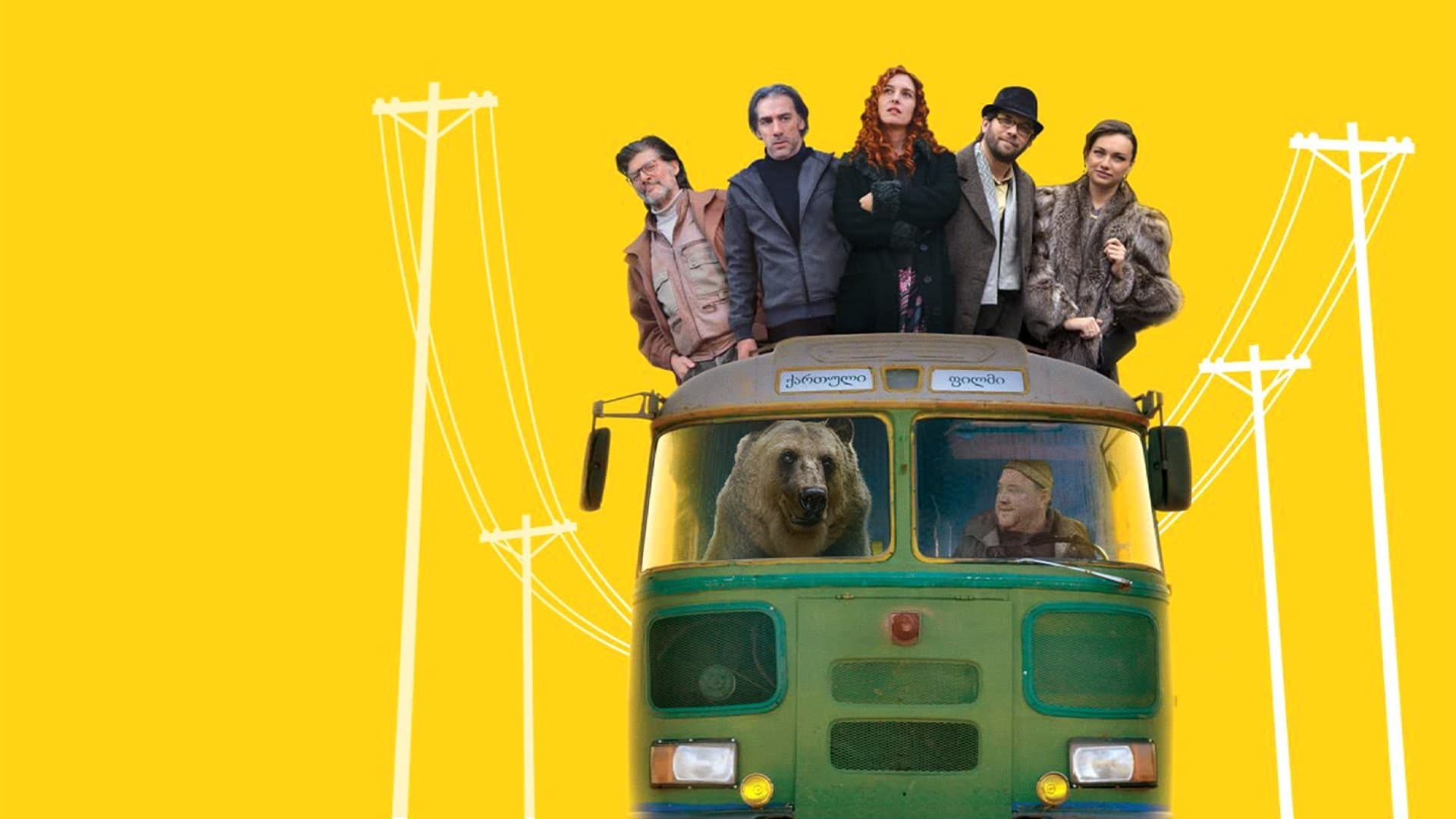 Chola the Bear cover