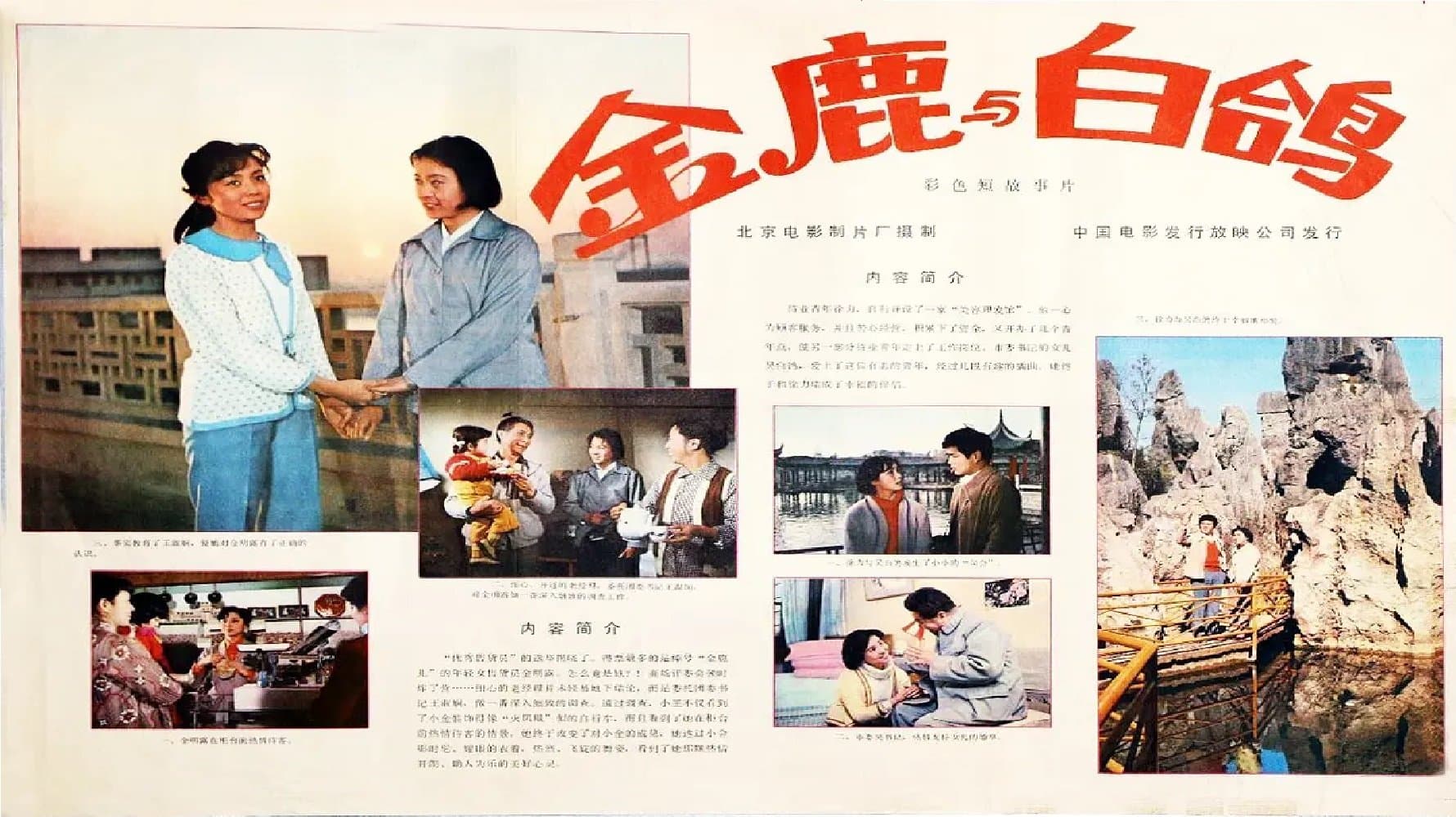 金鹿 cover