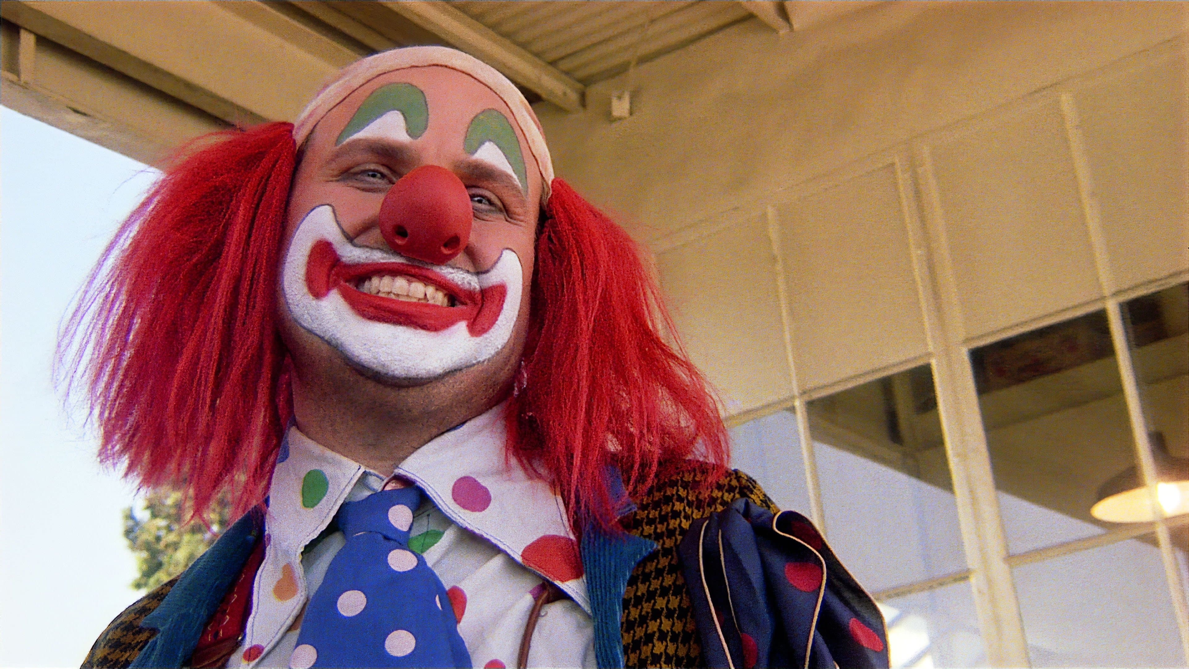 Shakes the Clown cover