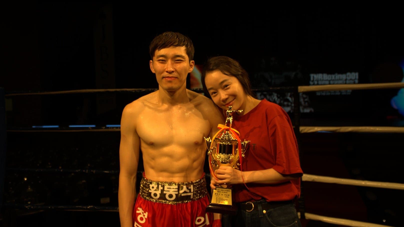 The Boxer cover