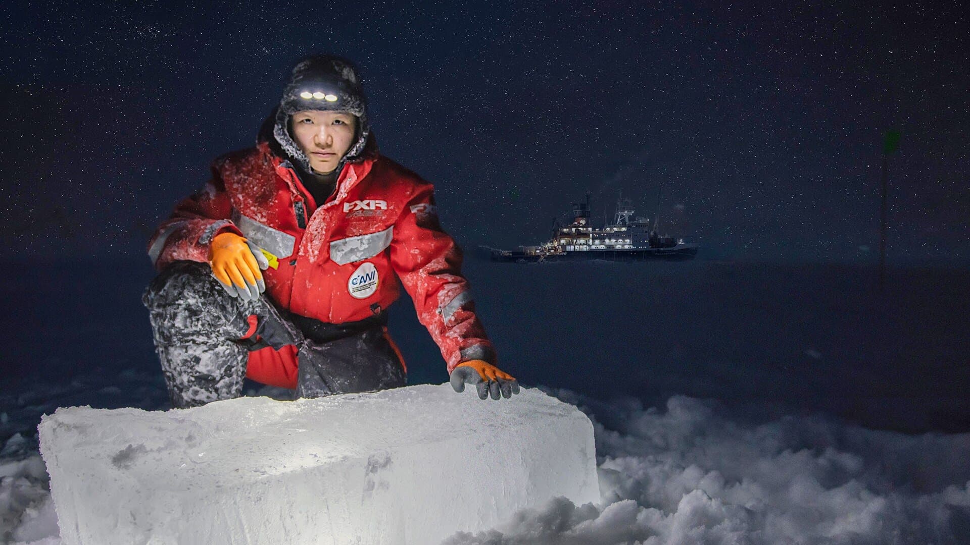 A Year in the Ice: The Arctic Drift cover