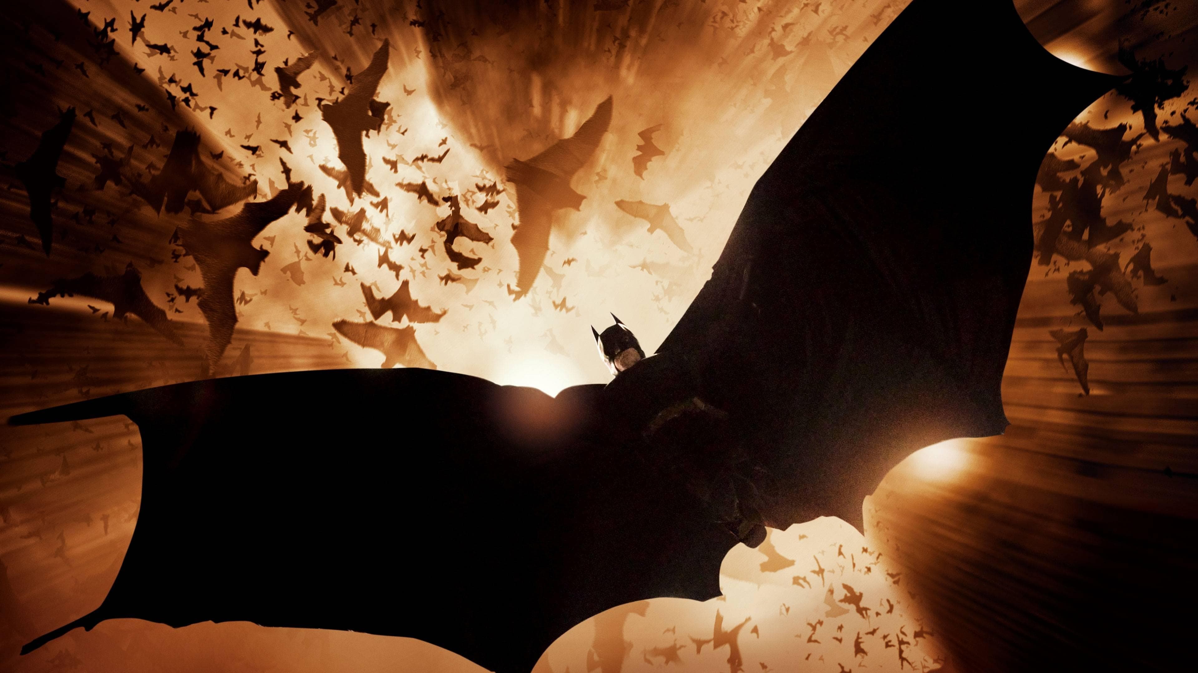 Batman Begins cover