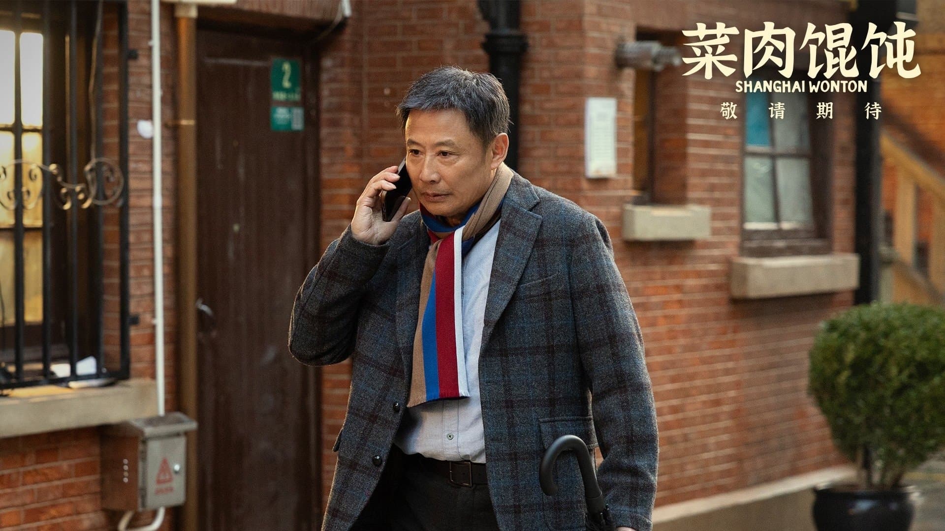 Shanghai Wonton cover