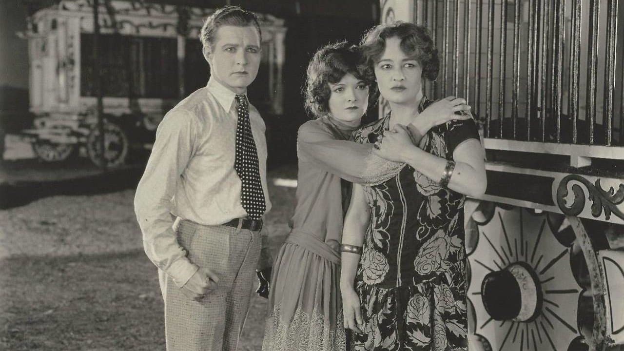 Spangles cover