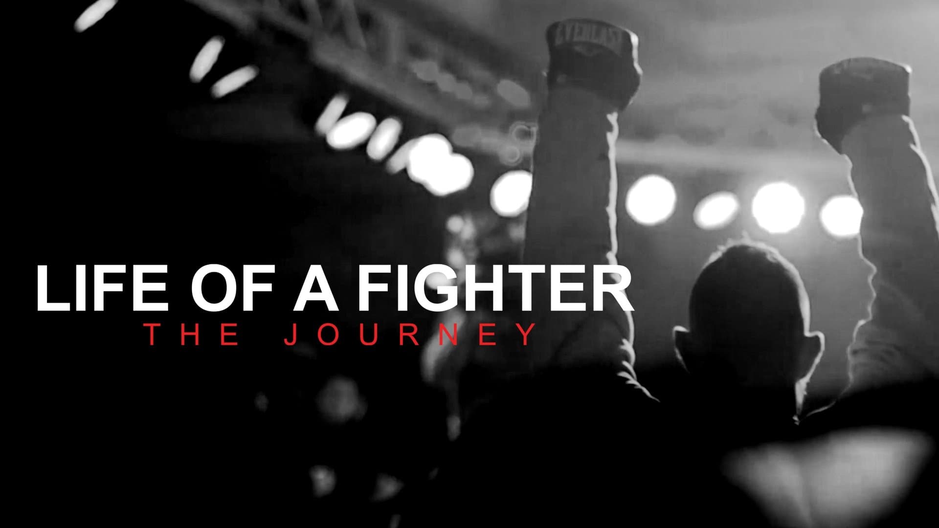 Life of a Fighter: The Journey cover