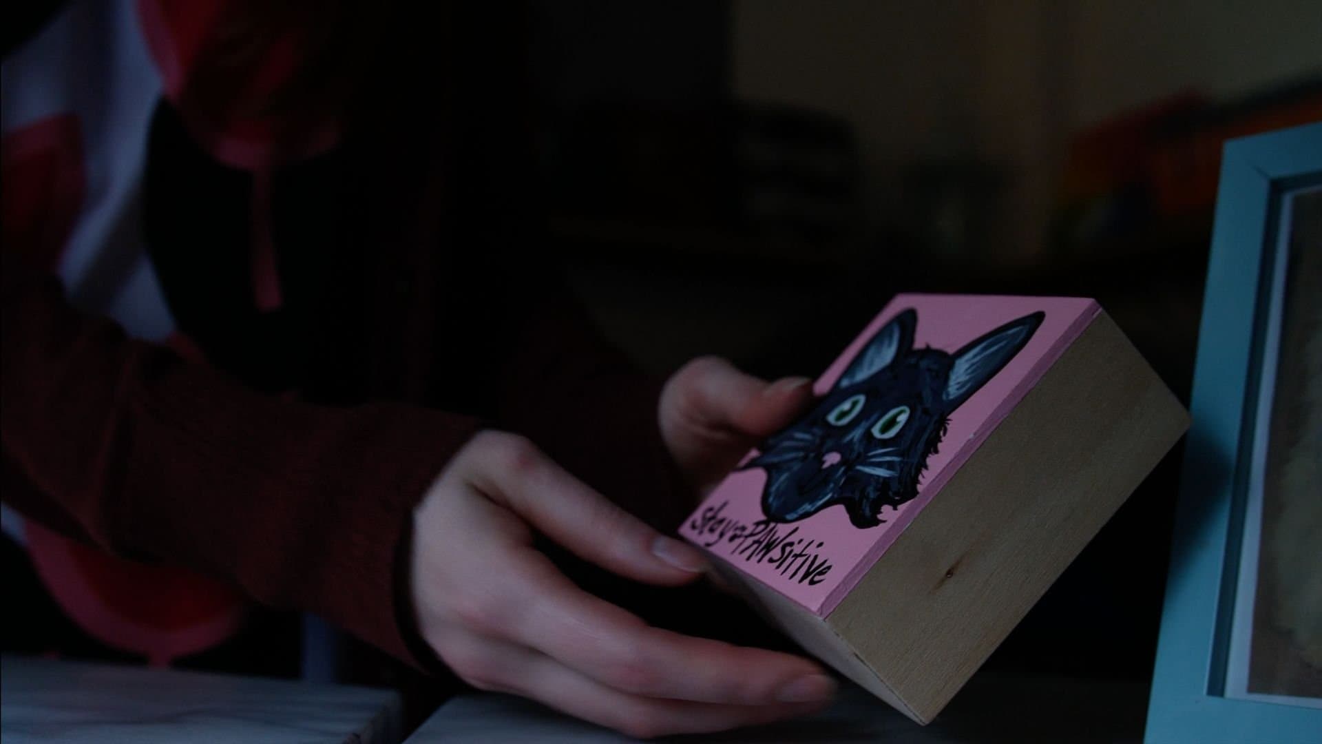 Coping cover