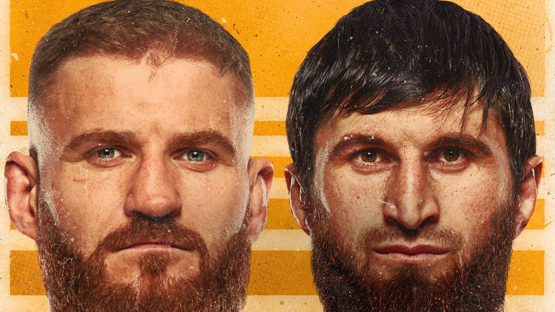 UFC 282: Blachowicz vs. Ankalaev cover