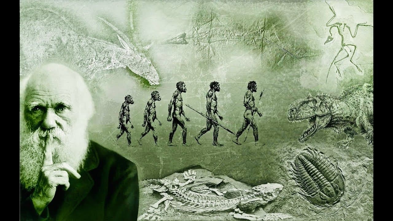 What Darwin Never Knew cover