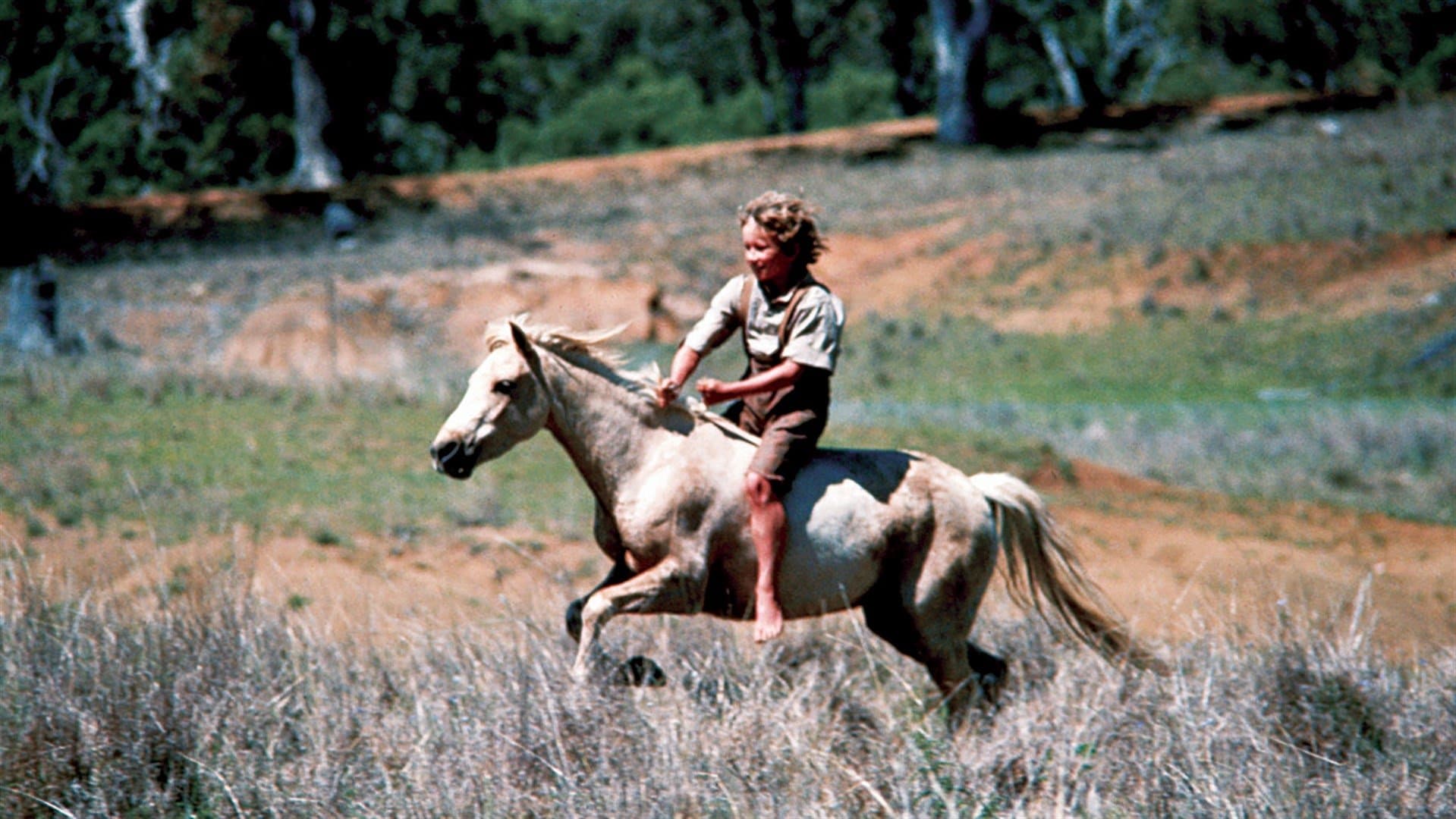 Ride a Wild Pony cover