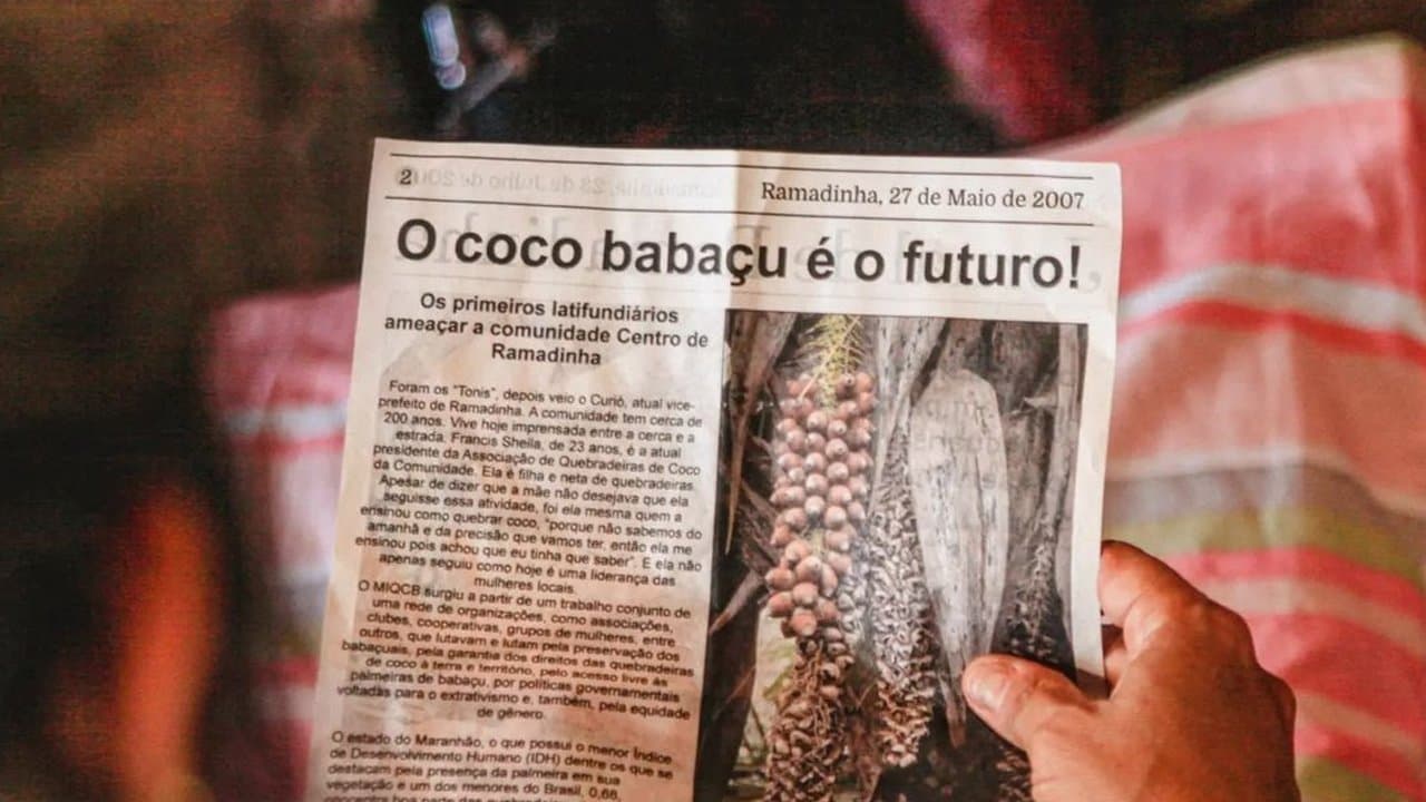 Babaçu Love cover