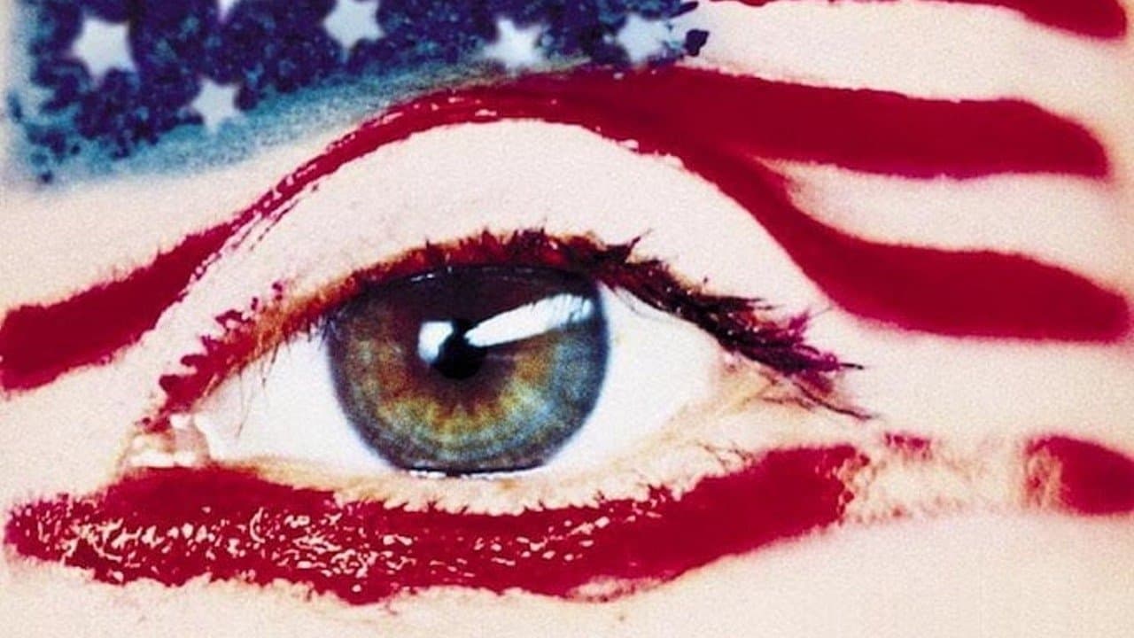 Vergiss Amerika cover