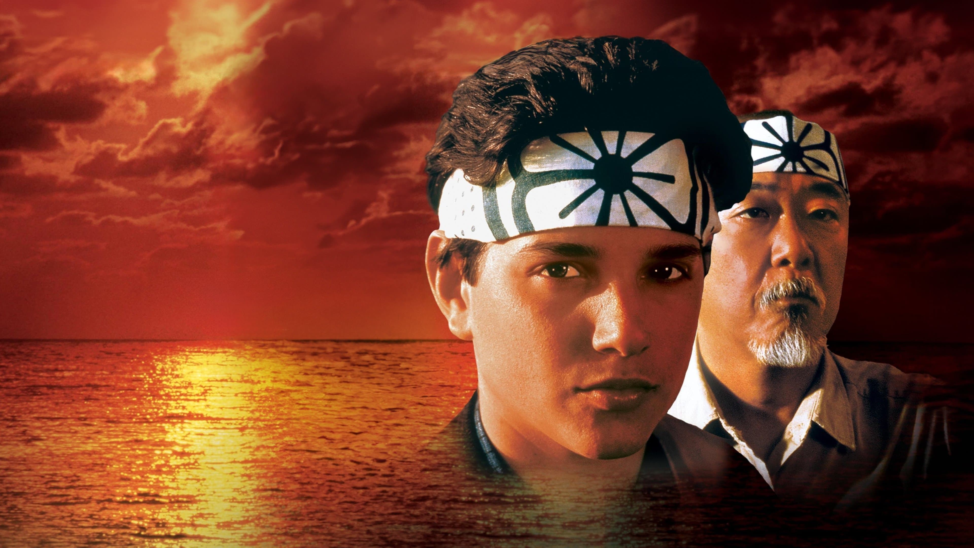 The Karate Kid cover