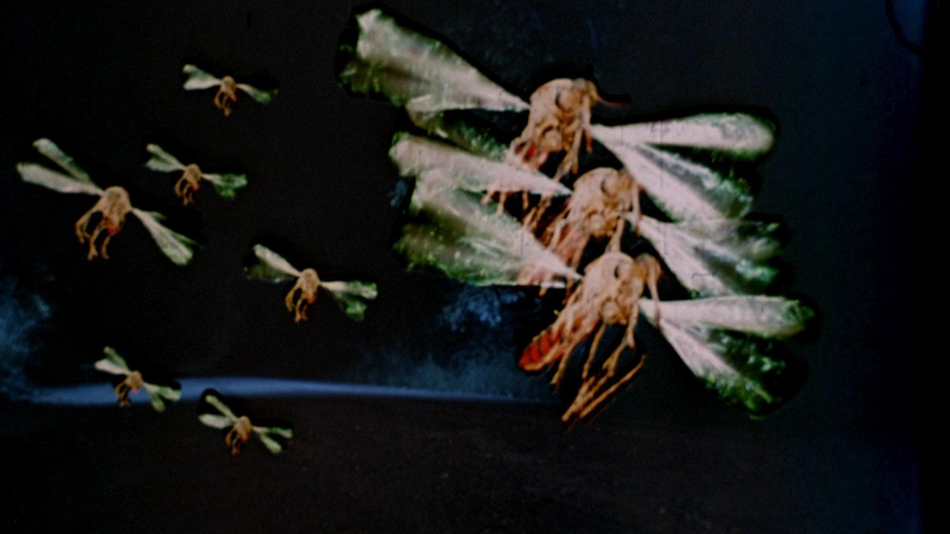 Mosquito cover