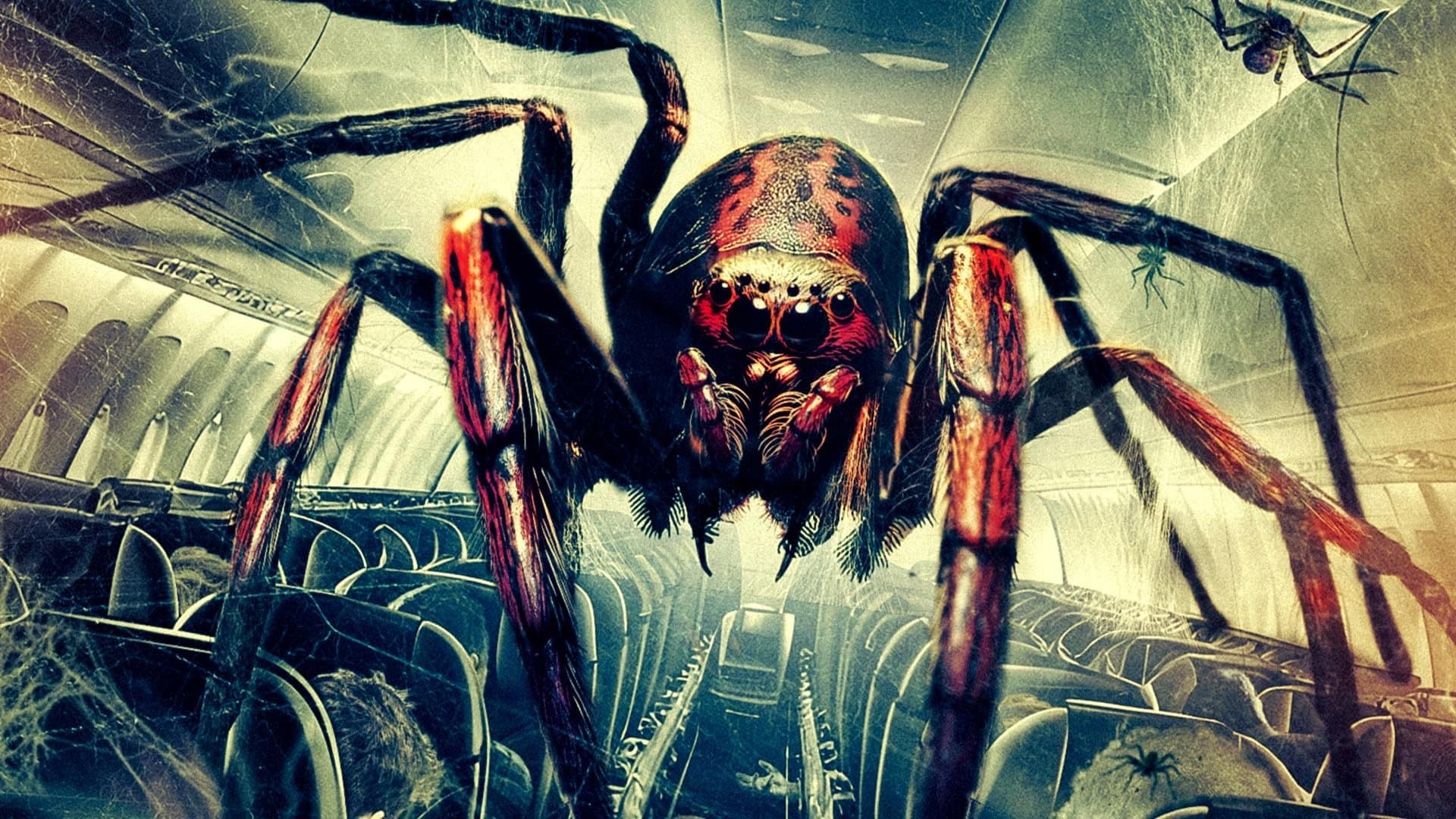 Spiders on a Plane cover