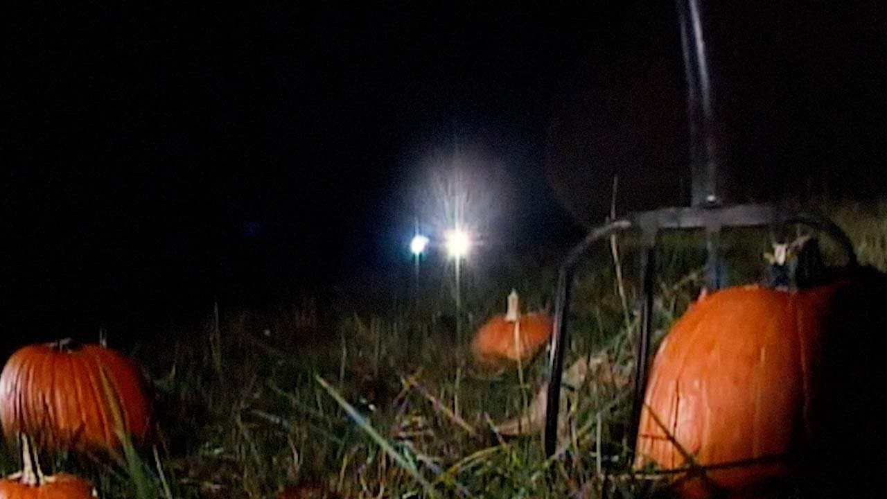 Revenge of the Great Pumpkin cover