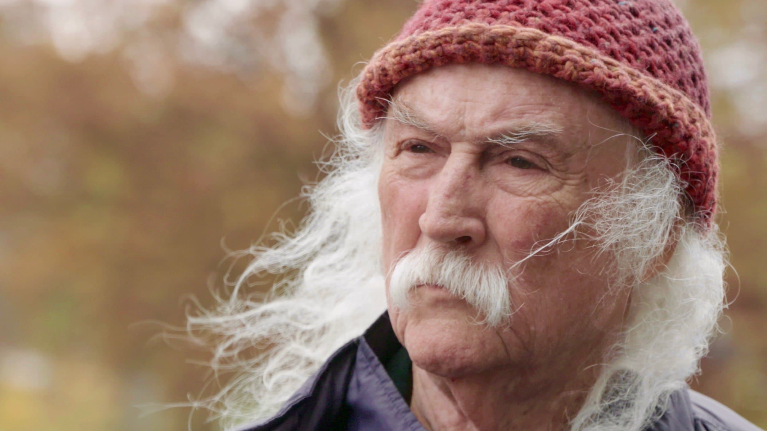 David Crosby: Remember My Name cover