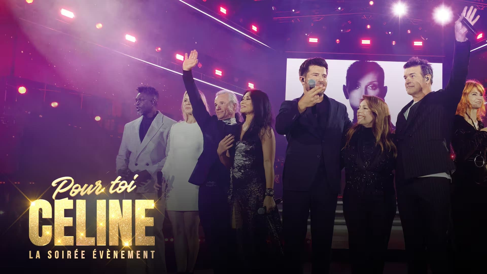 Pour toi Céline: La soirée évènement cover