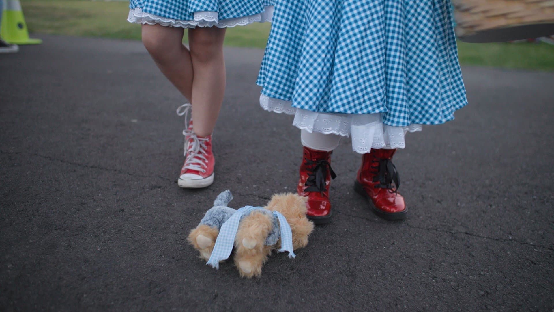 It's Dorothy! cover