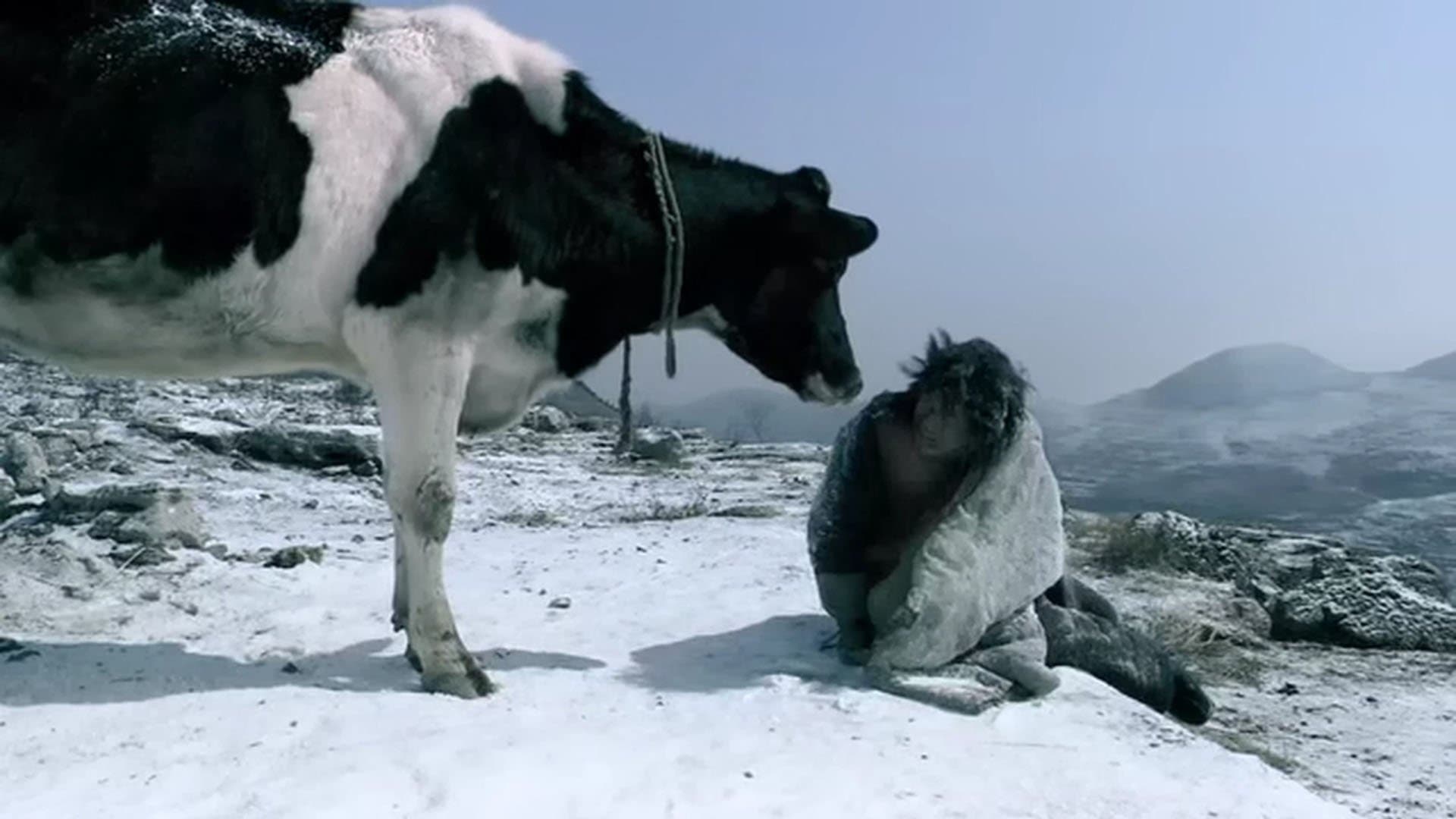 Cow cover
