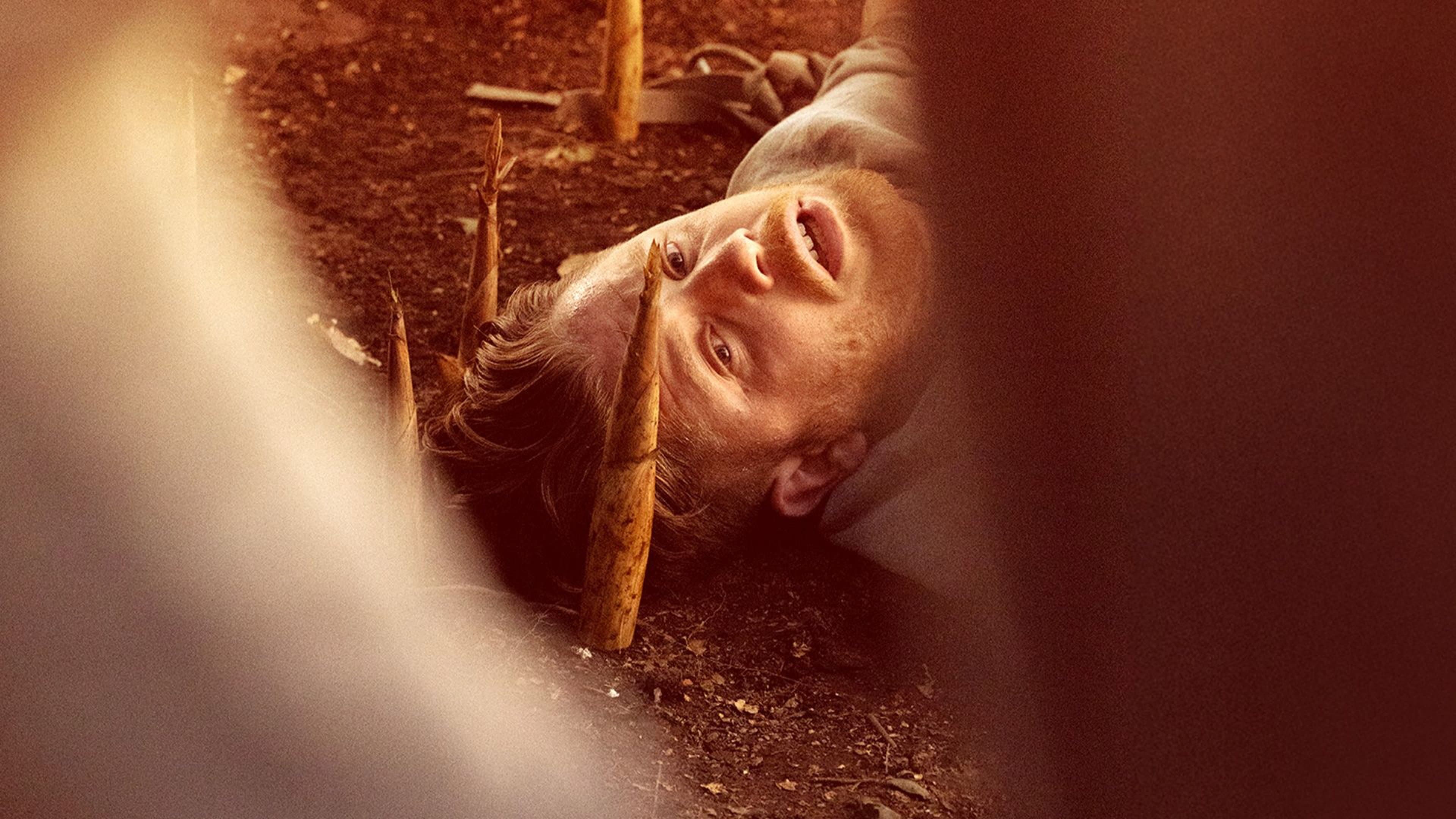 Bamboo Revenge cover