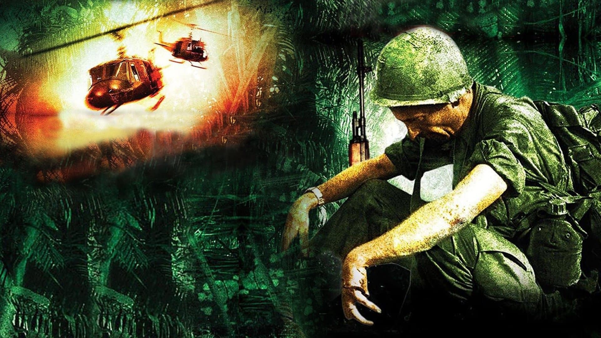 The Veteran cover