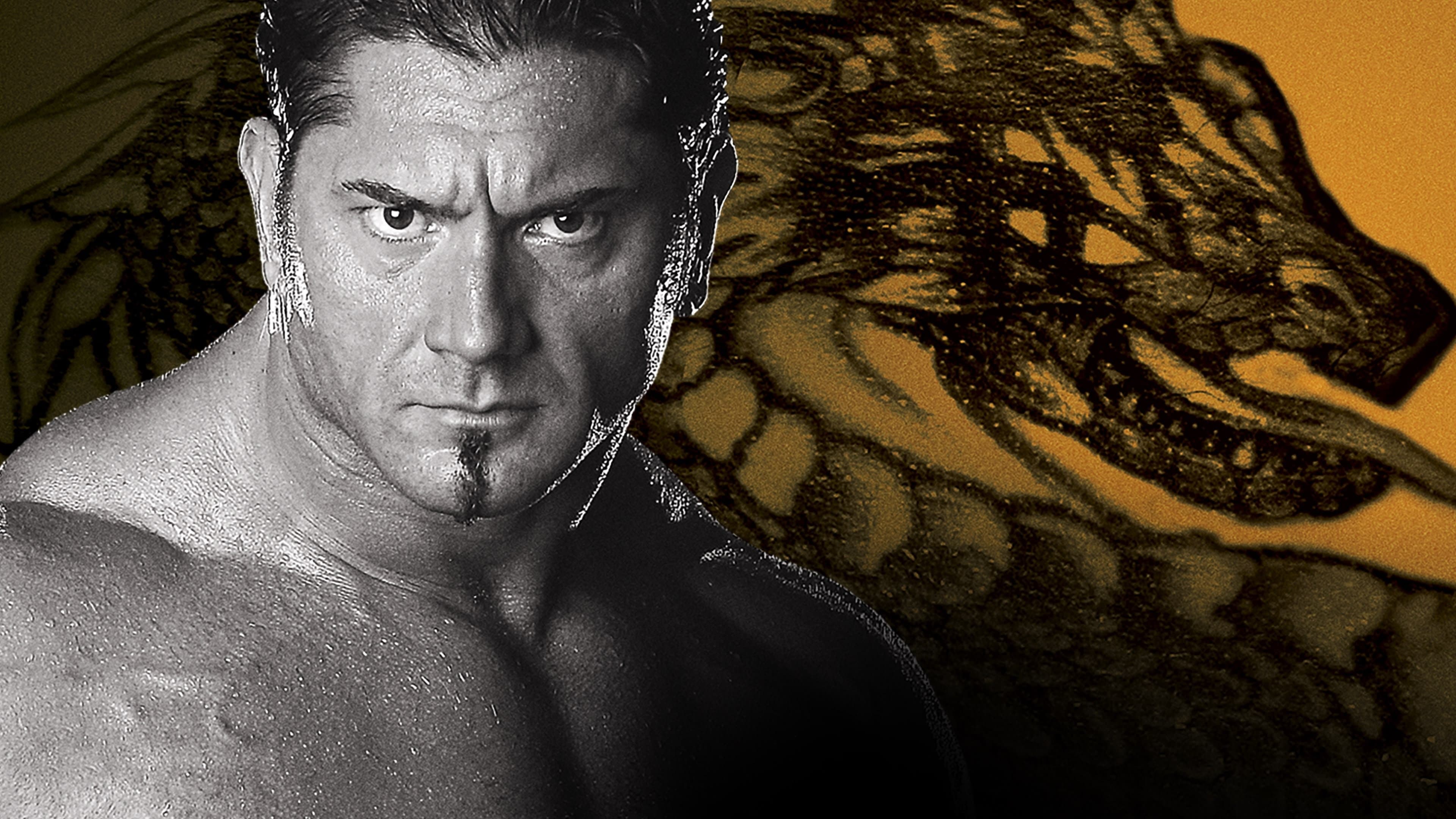 WWE New Year's Revolution 2005 cover