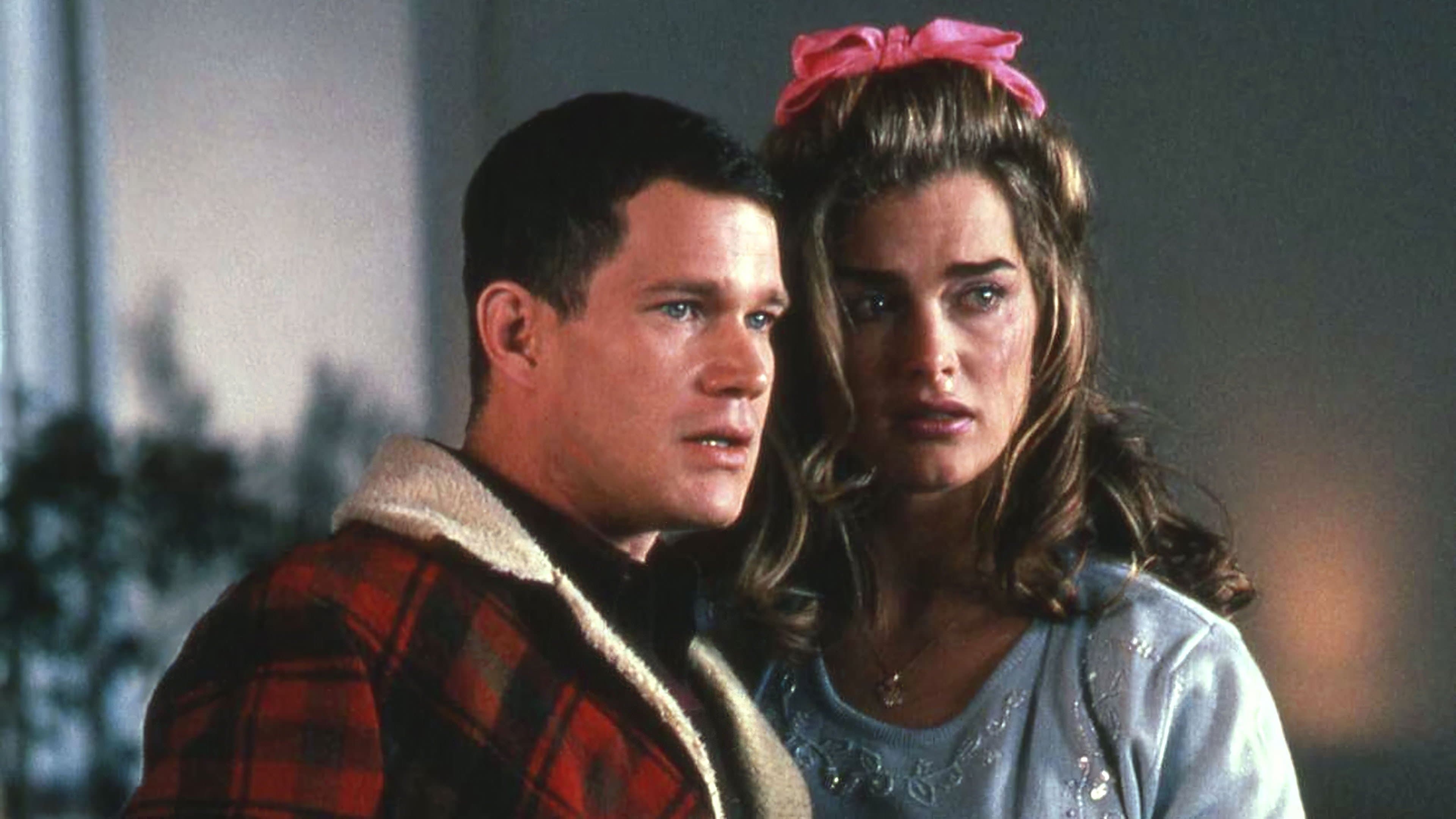 The Almost Perfect Bank Robbery cover