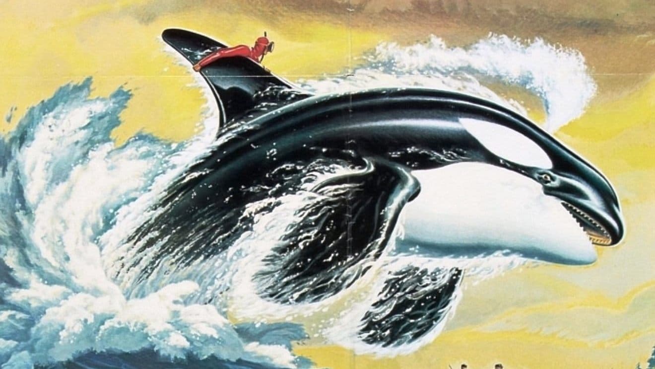 Namu, the Killer Whale cover