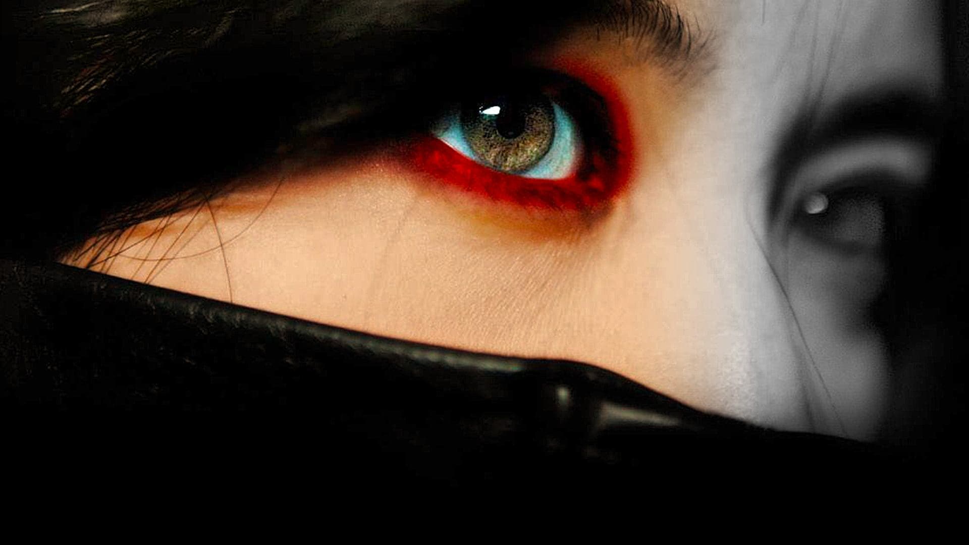 Lady Vengeance cover
