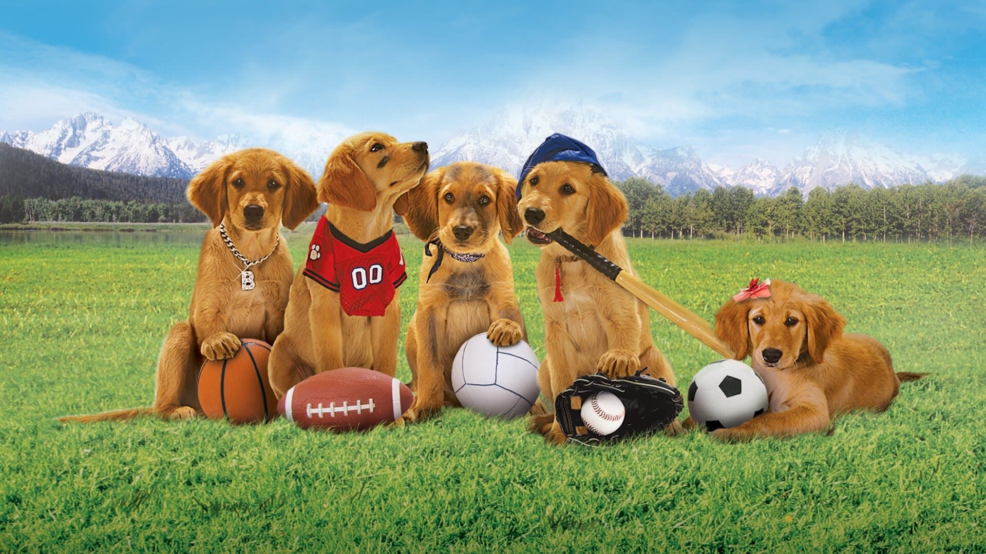 Air Buddies cover
