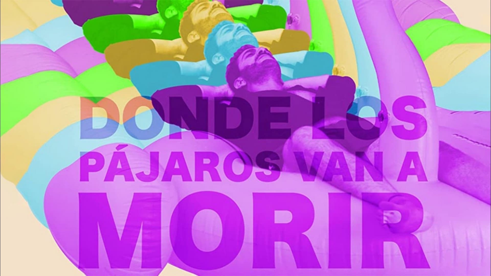 Donde los pájaros van a morir cover