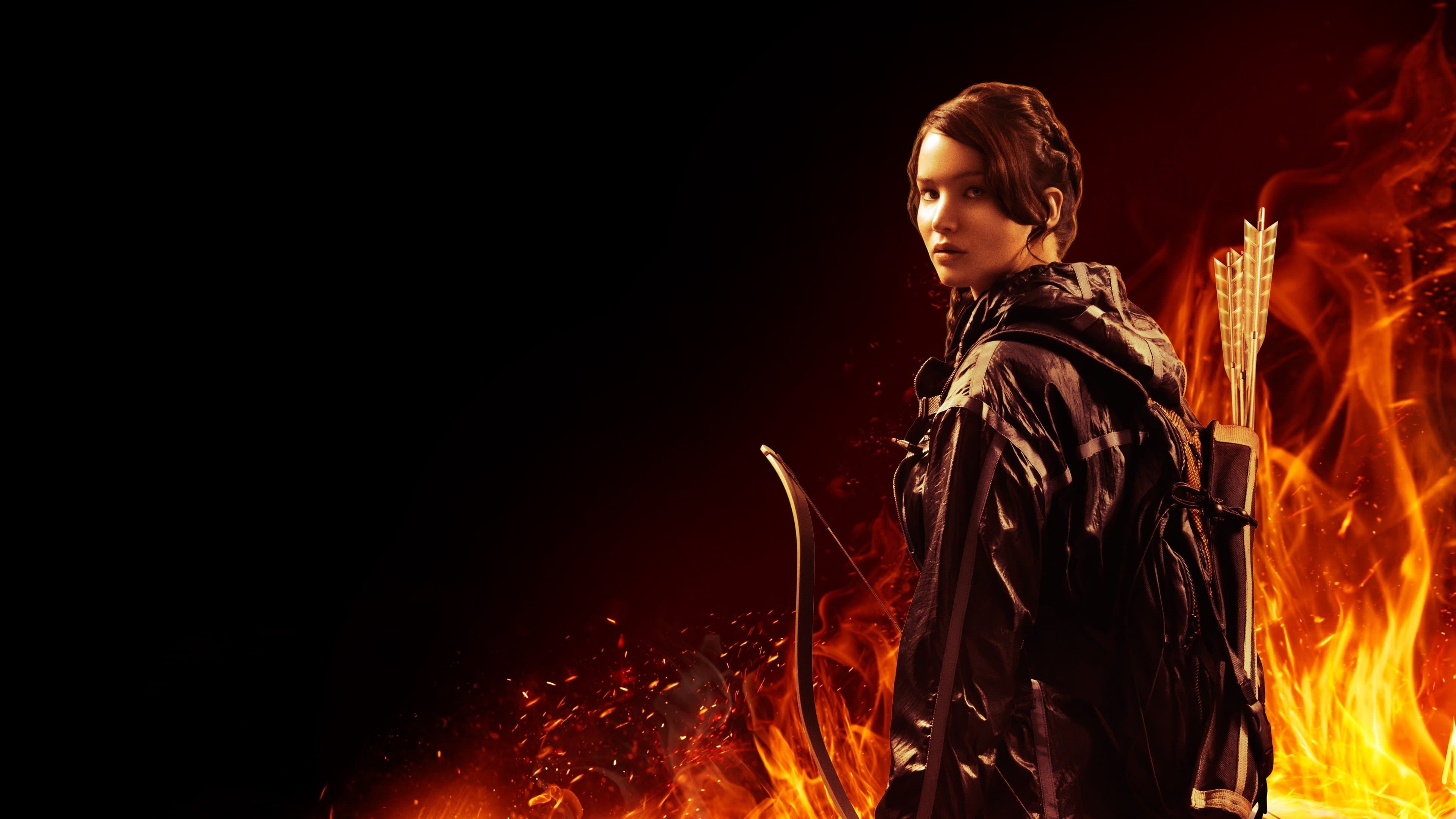 The Hunger Games cover